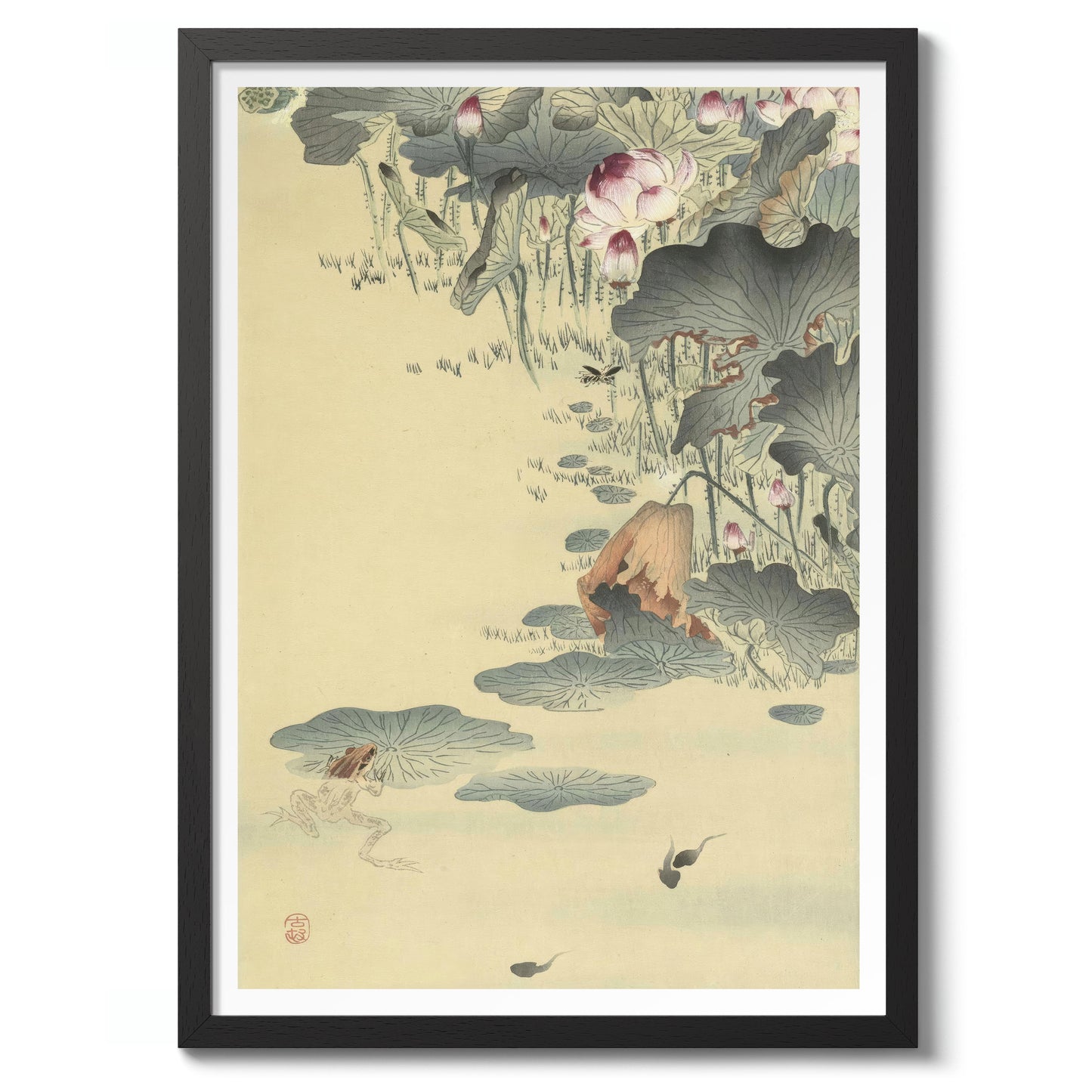 Kikker en Kikkervisjes