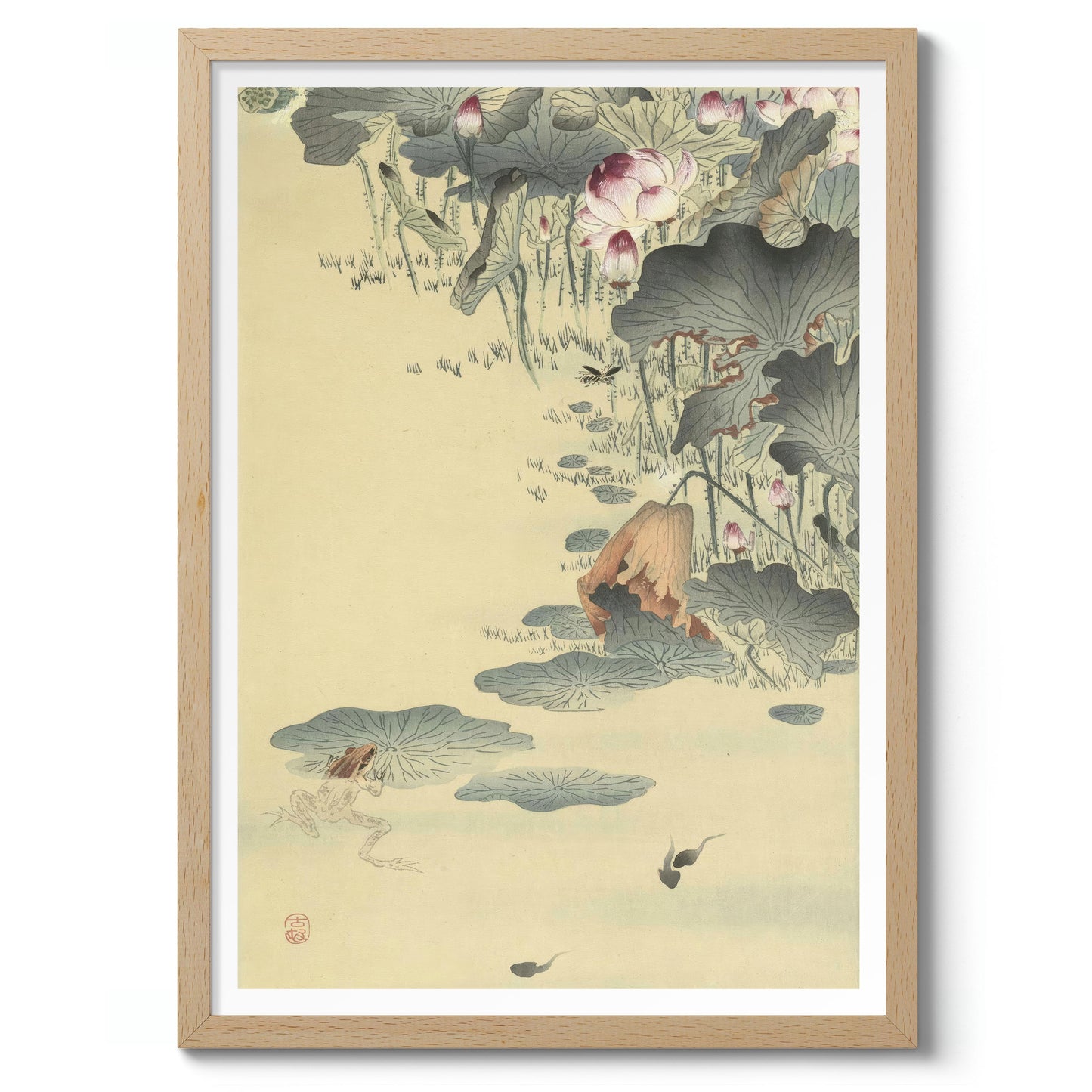 Kikker en Kikkervisjes