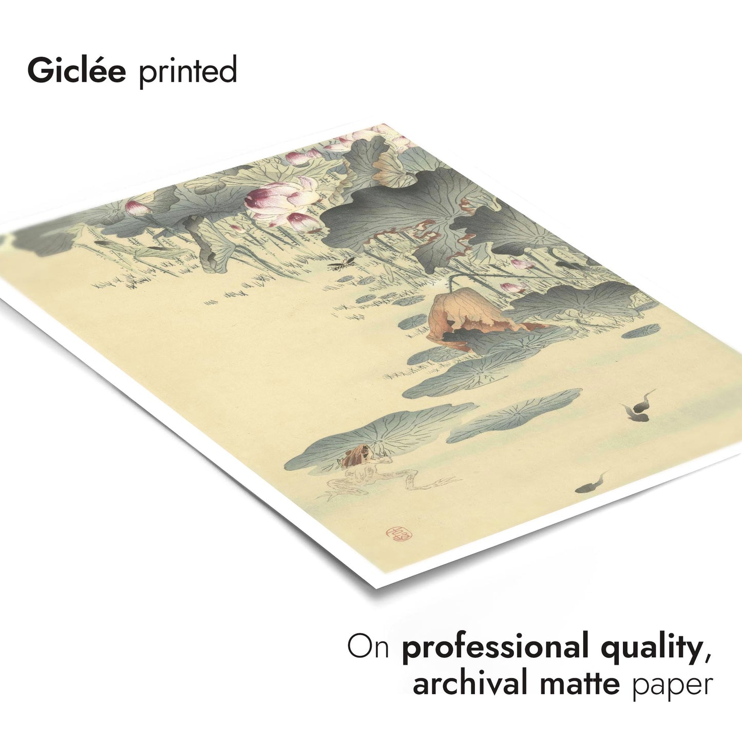 Kikker en Kikkervisjes