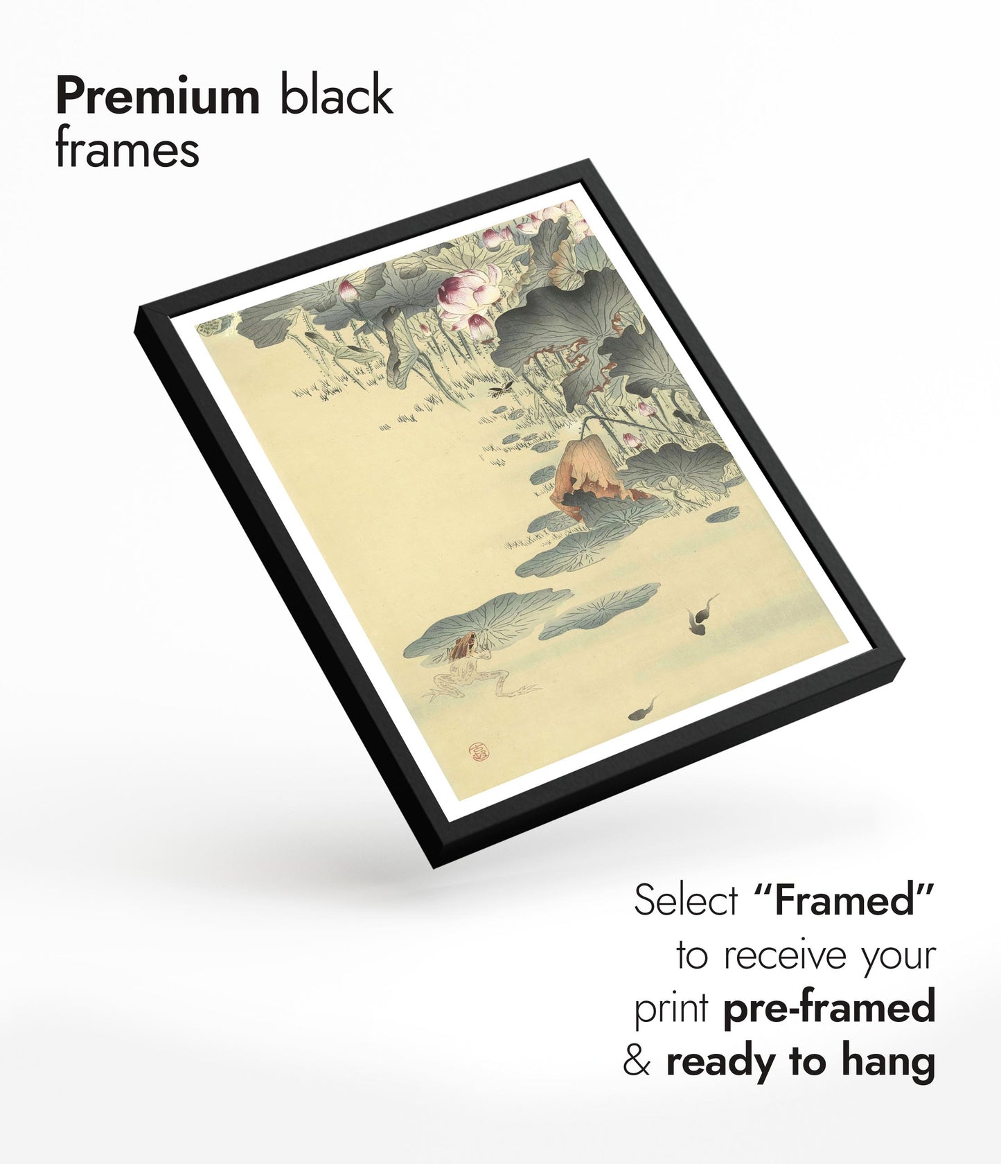 Kikker en Kikkervisjes