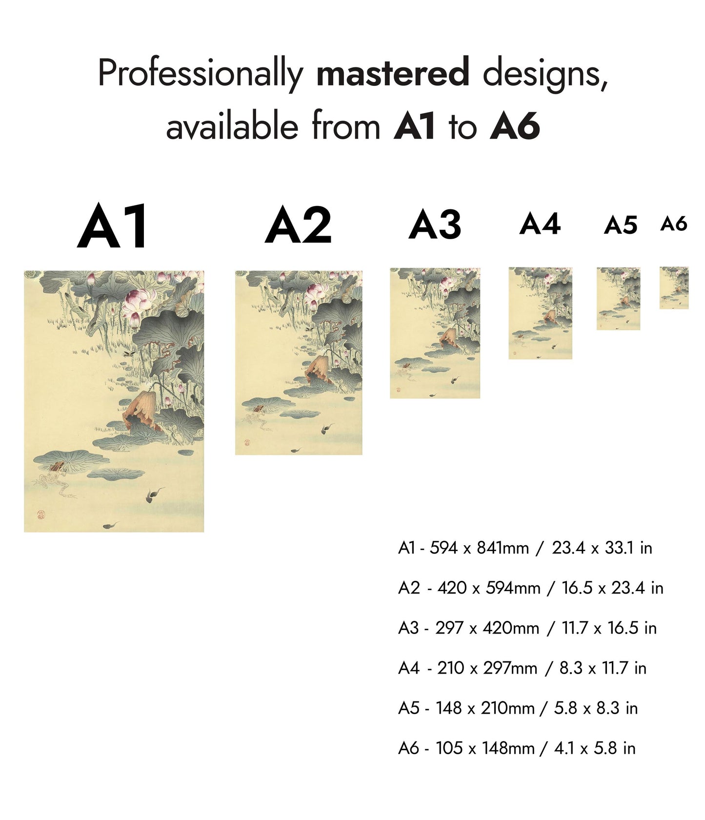 Kikker en Kikkervisjes
