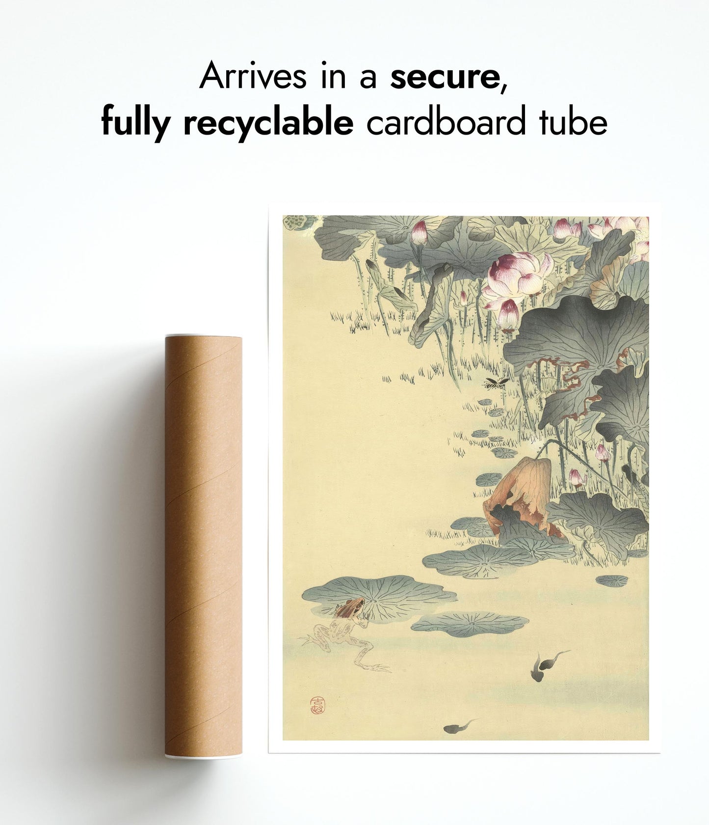 Kikker en Kikkervisjes