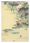 Frog & Tadpoles print