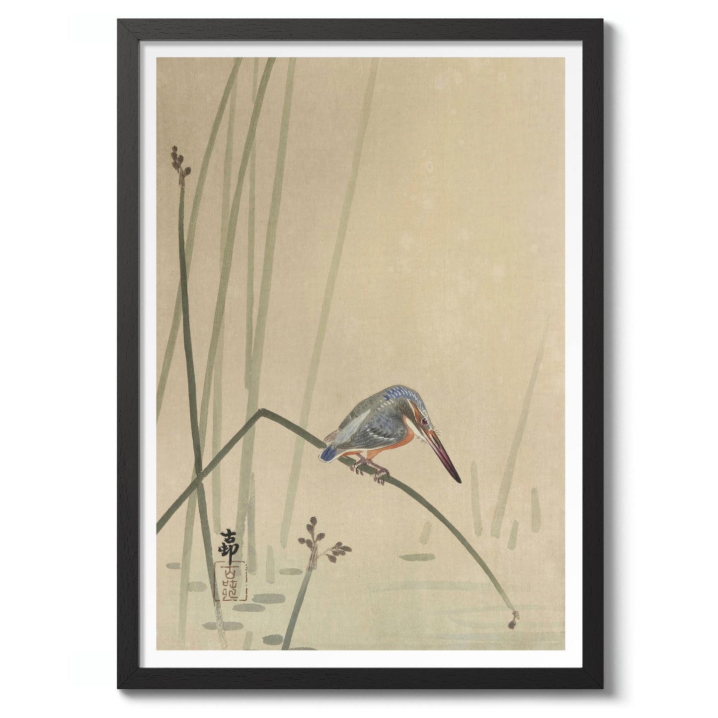 Martin-pêcheur perché sur une tige d'eau