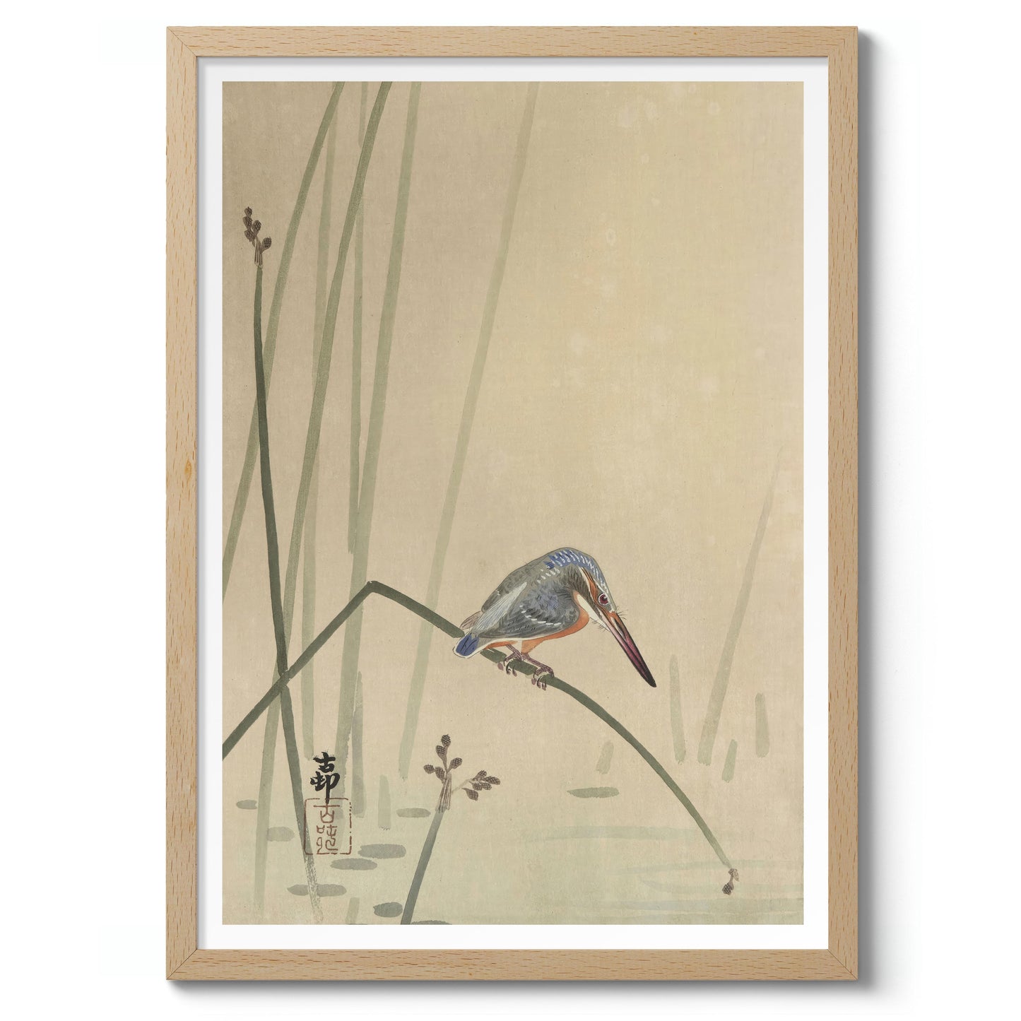 Martin-pêcheur perché sur une tige d'eau