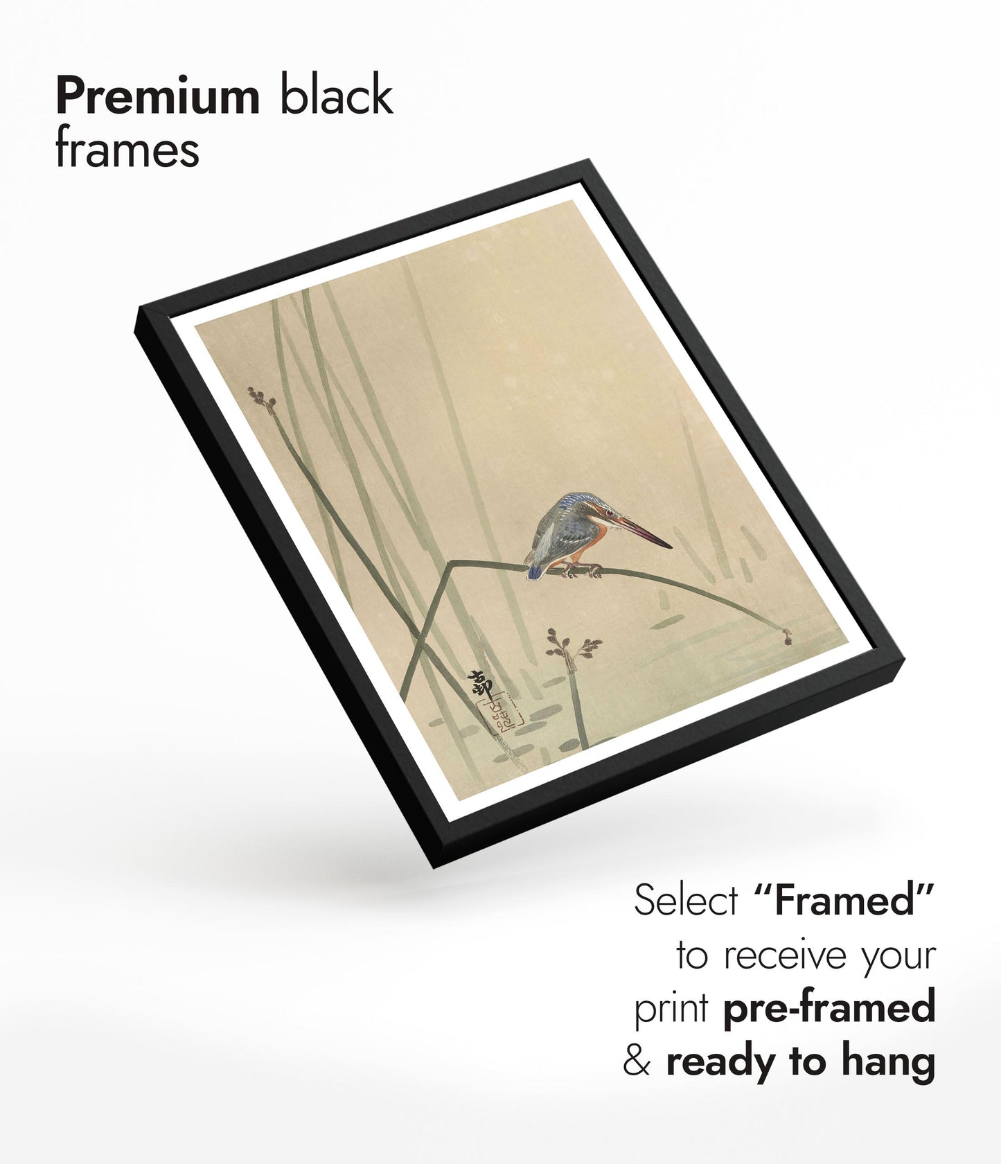 Martin-pêcheur perché sur une tige d'eau