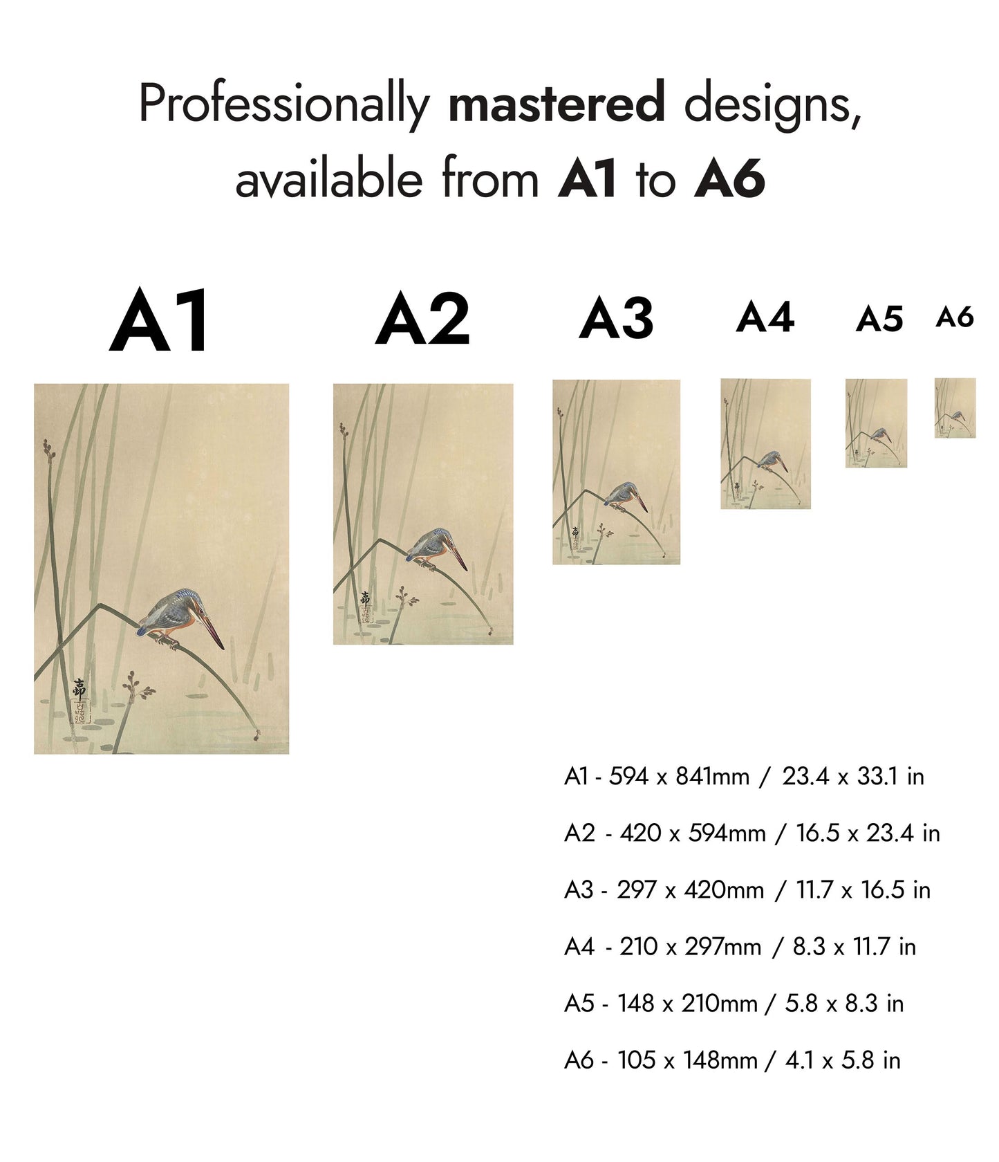 Martin-pêcheur perché sur une tige d'eau