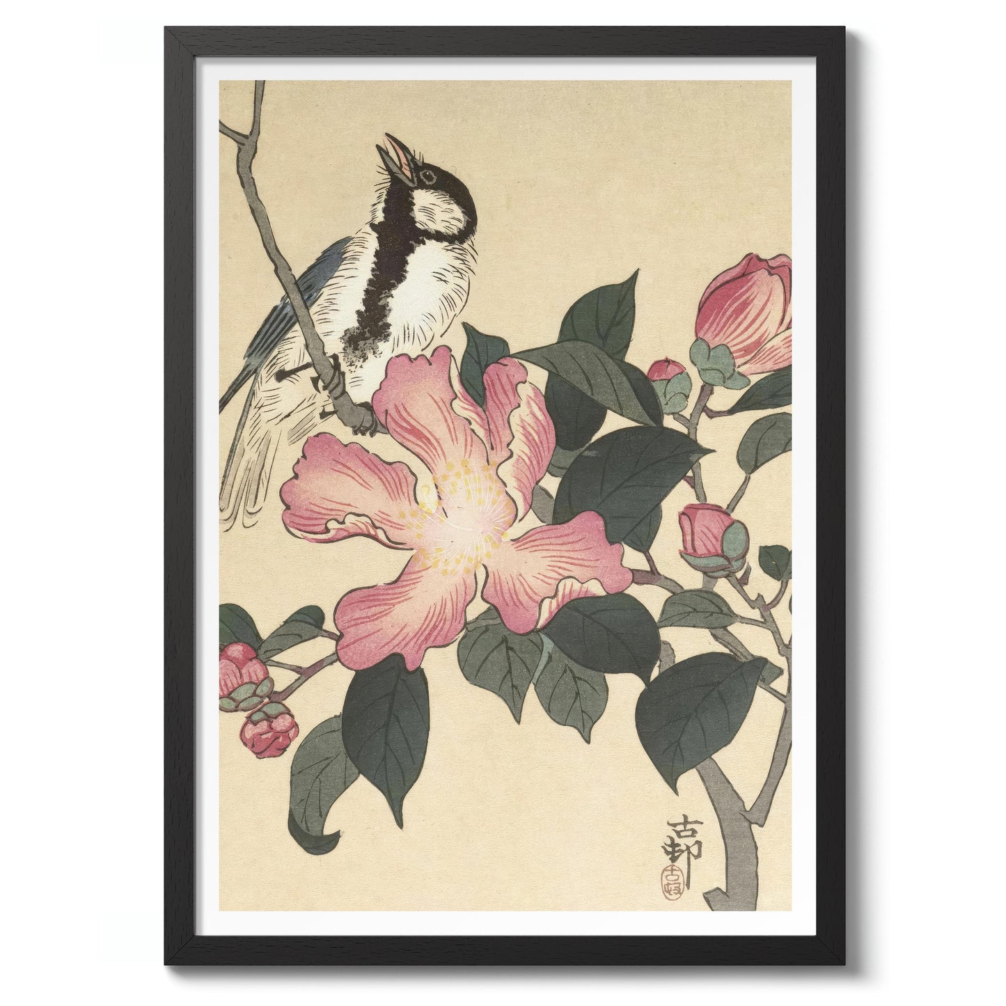 Talgoxe på gren med rosa blommor