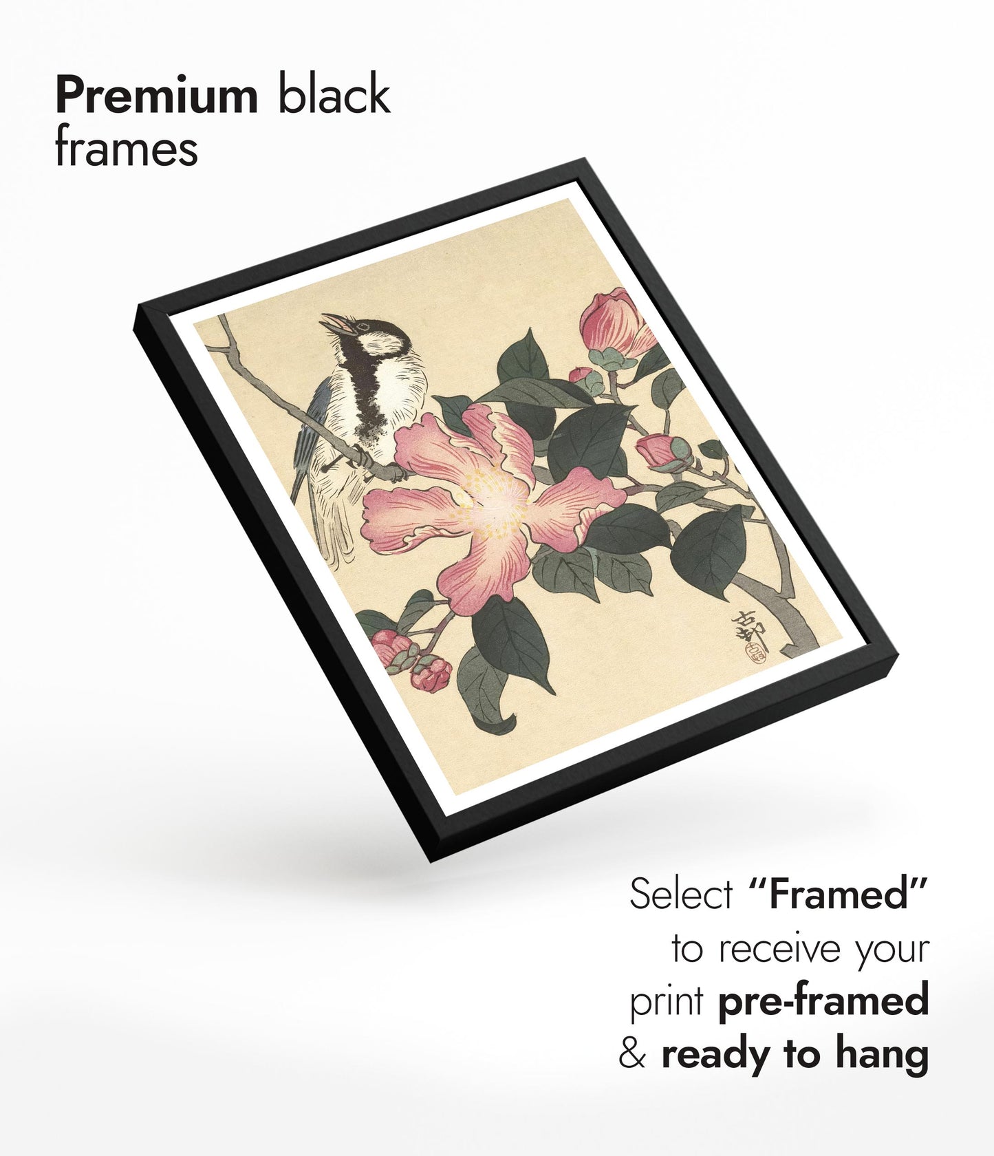 Talgoxe på gren med rosa blommor