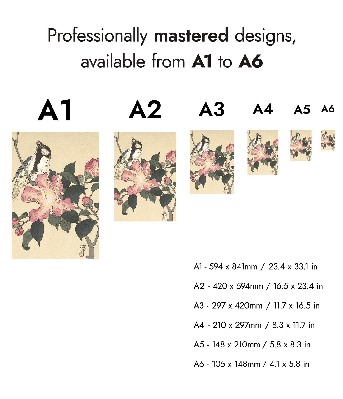 Talgoxe på gren med rosa blommor