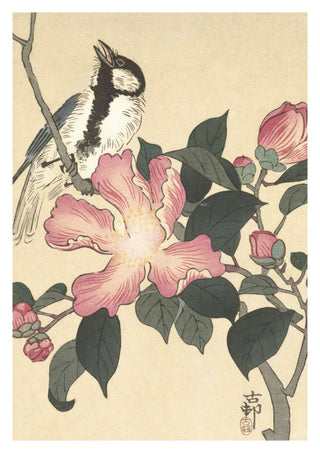 Talgoxe på gren med rosa blommor print