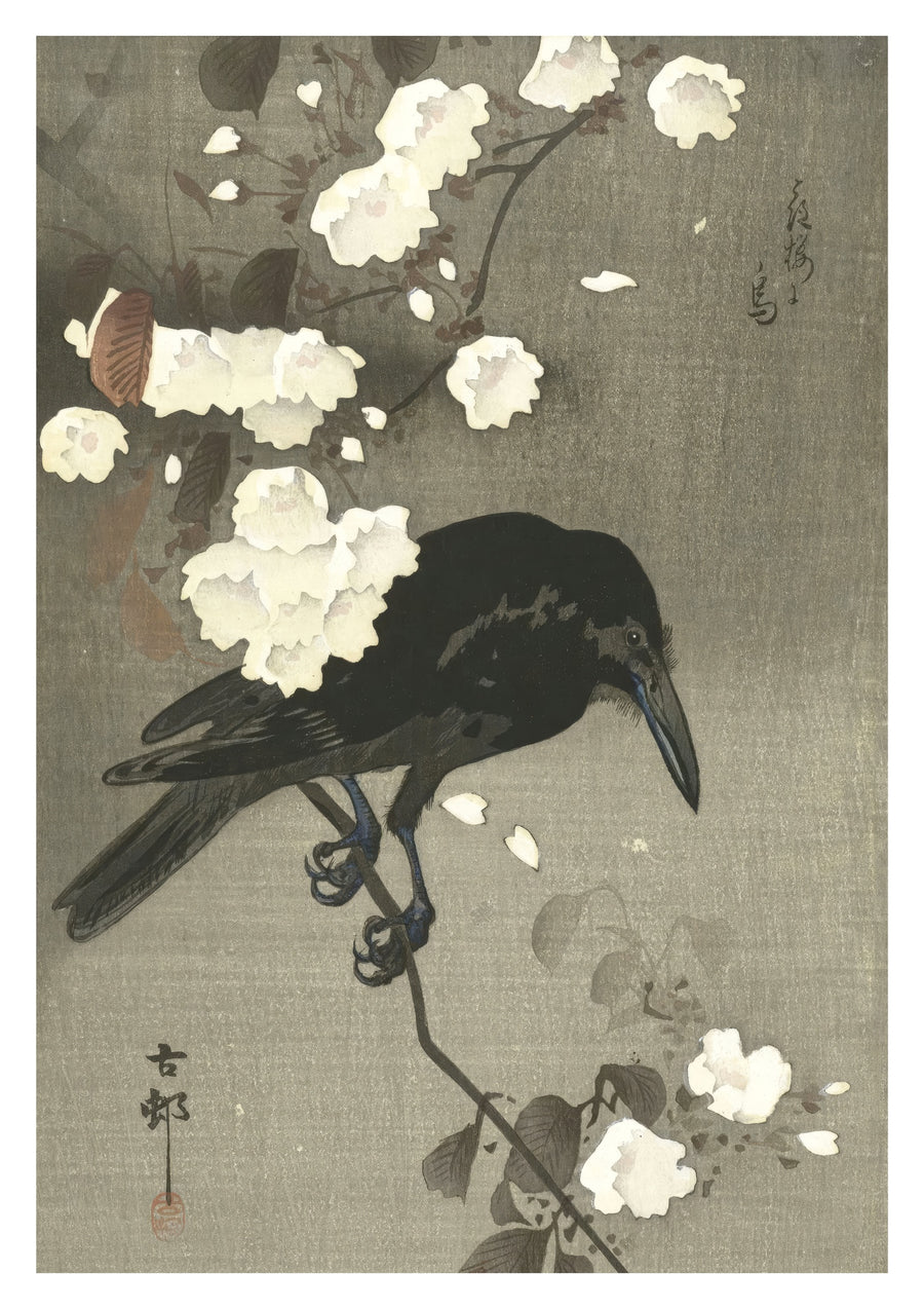 Corbeau avec fleur de cerisier - Print Only frame