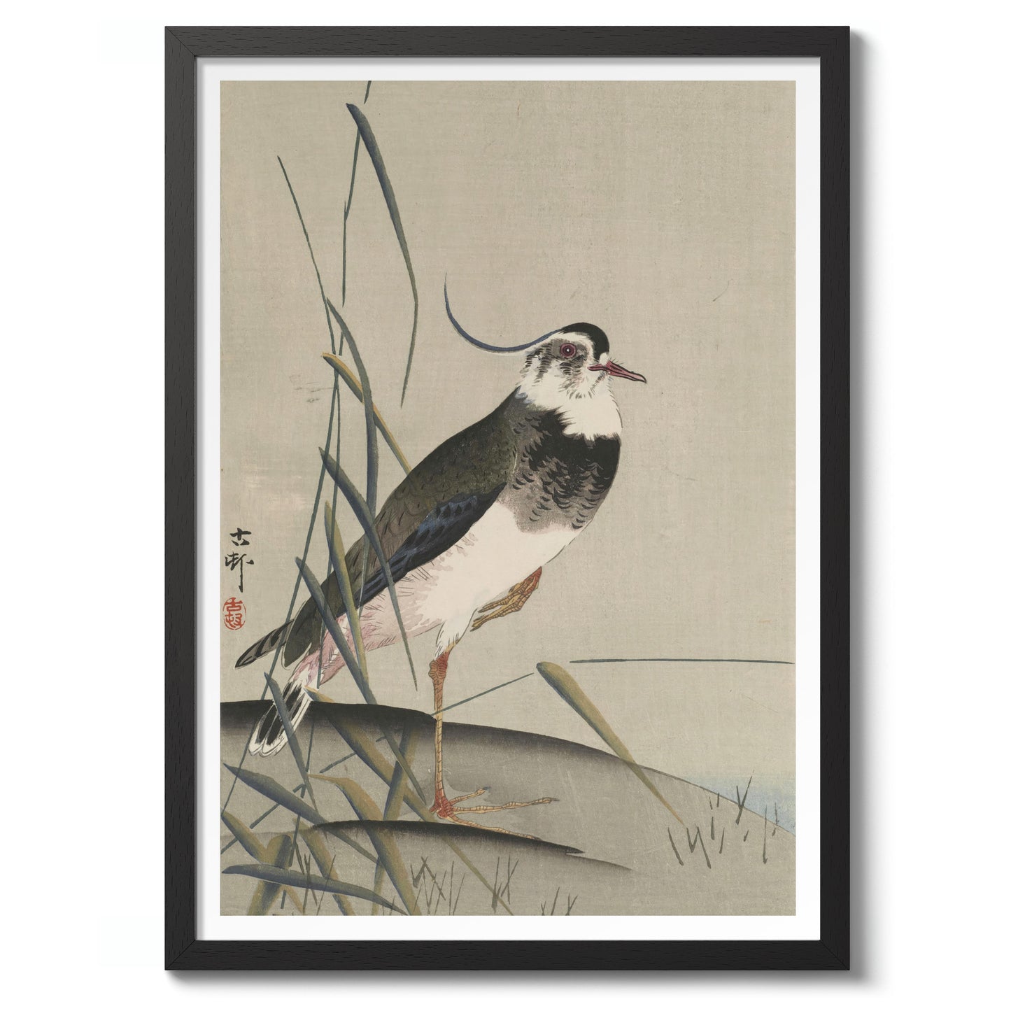 Northern Lapwing & Reeds