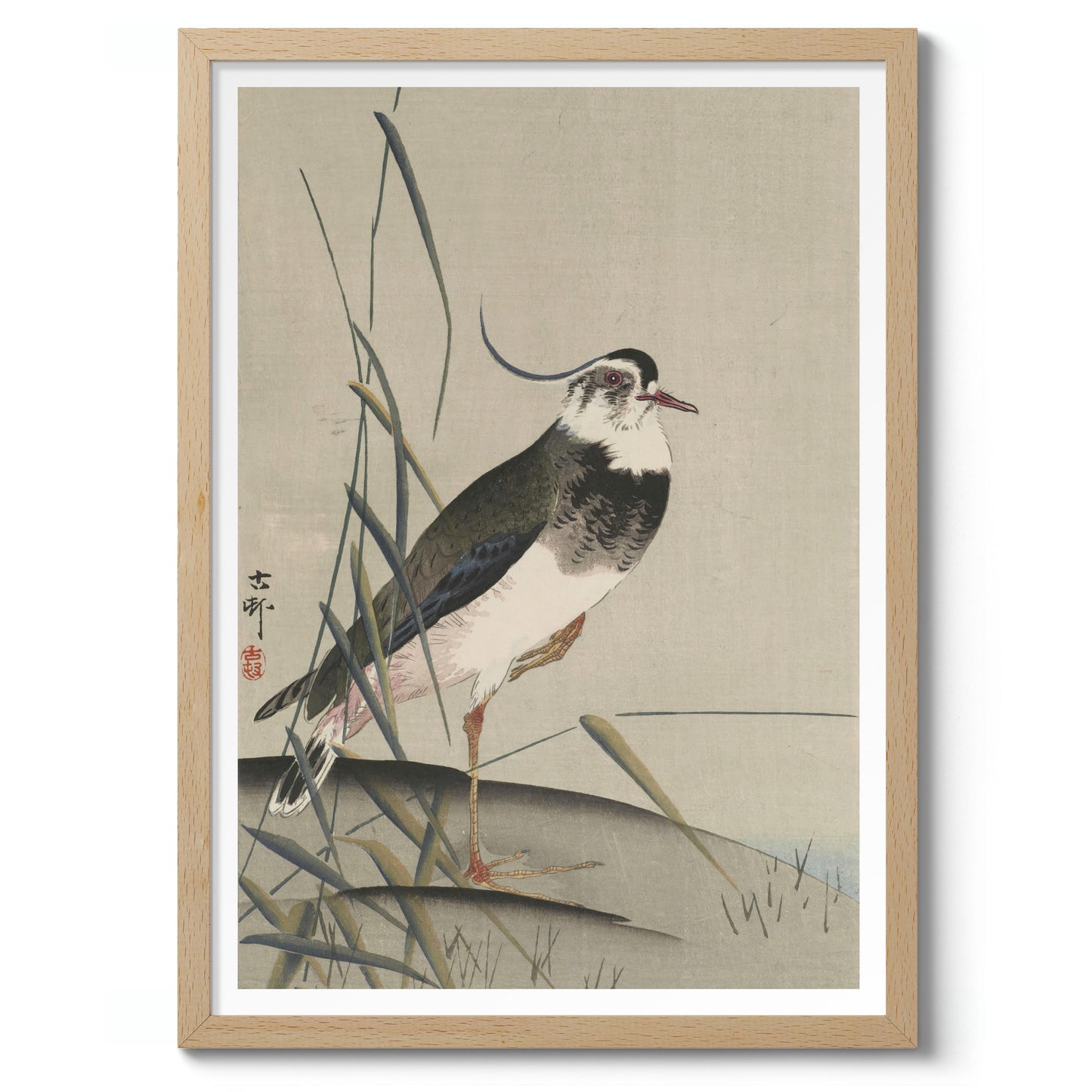 Northern Lapwing & Reeds