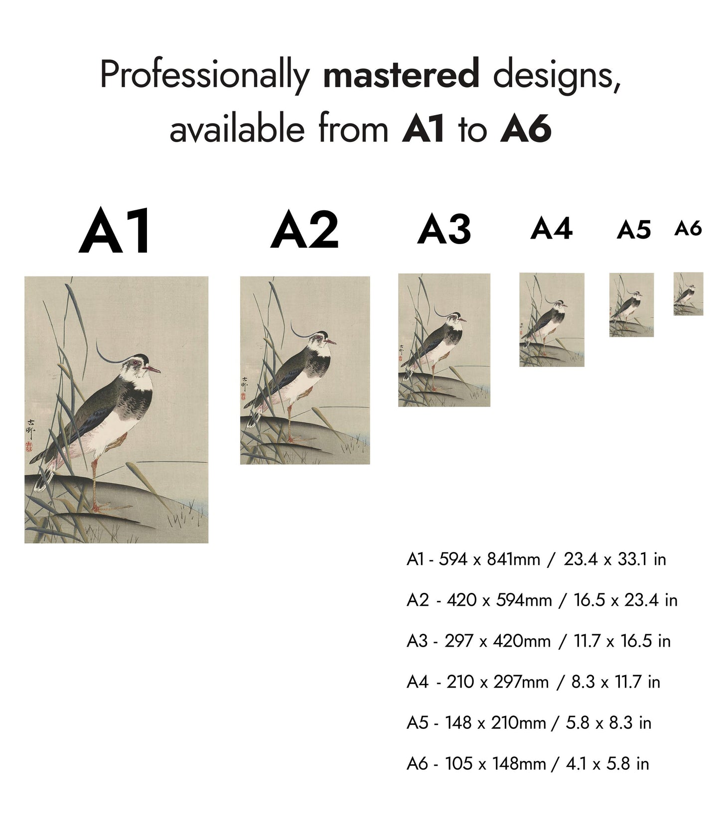 Northern Lapwing & Reeds
