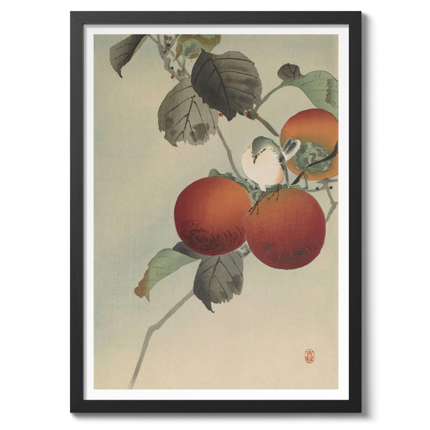 Nötkråka ovanpå persimonträdet