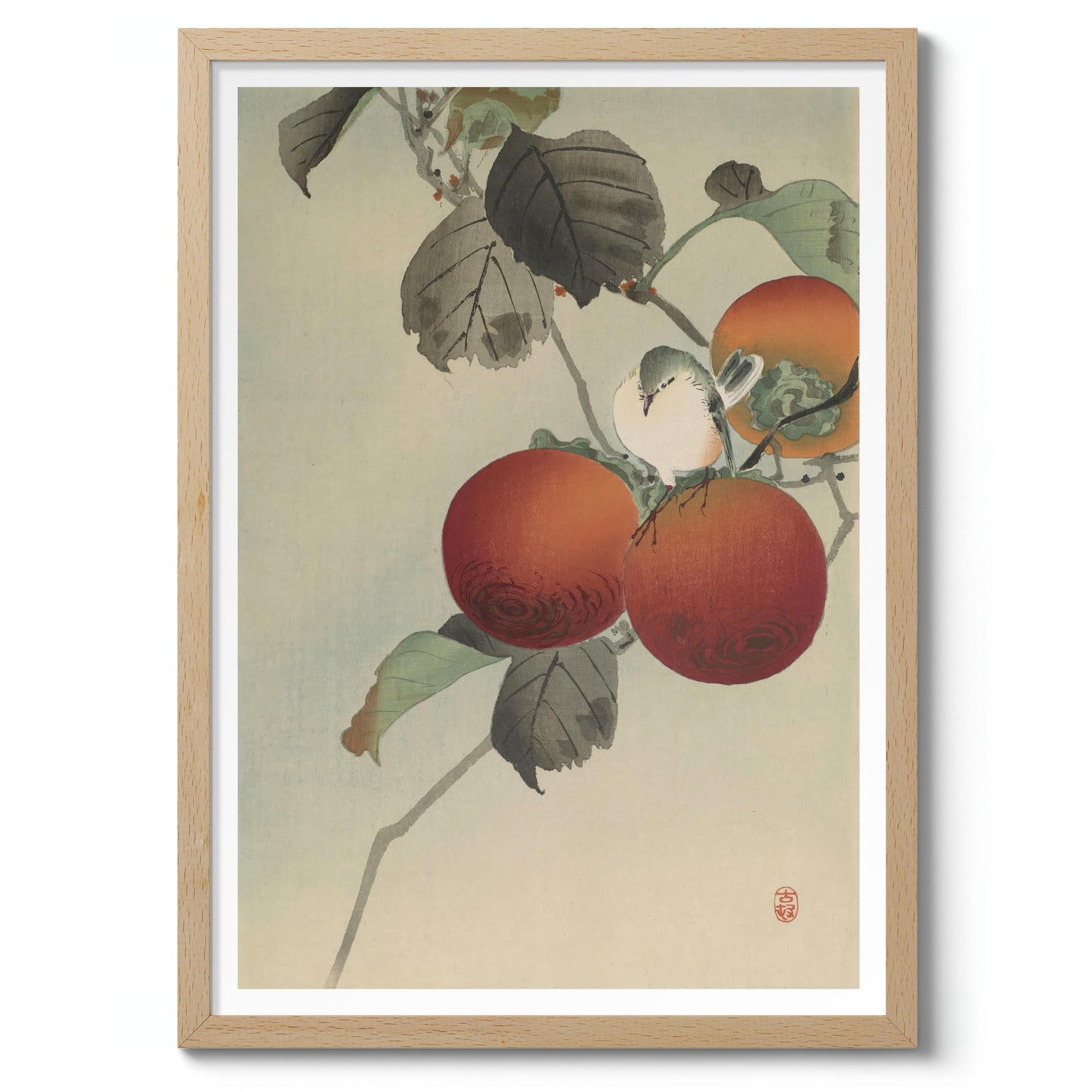 Nötkråka ovanpå persimonträdet