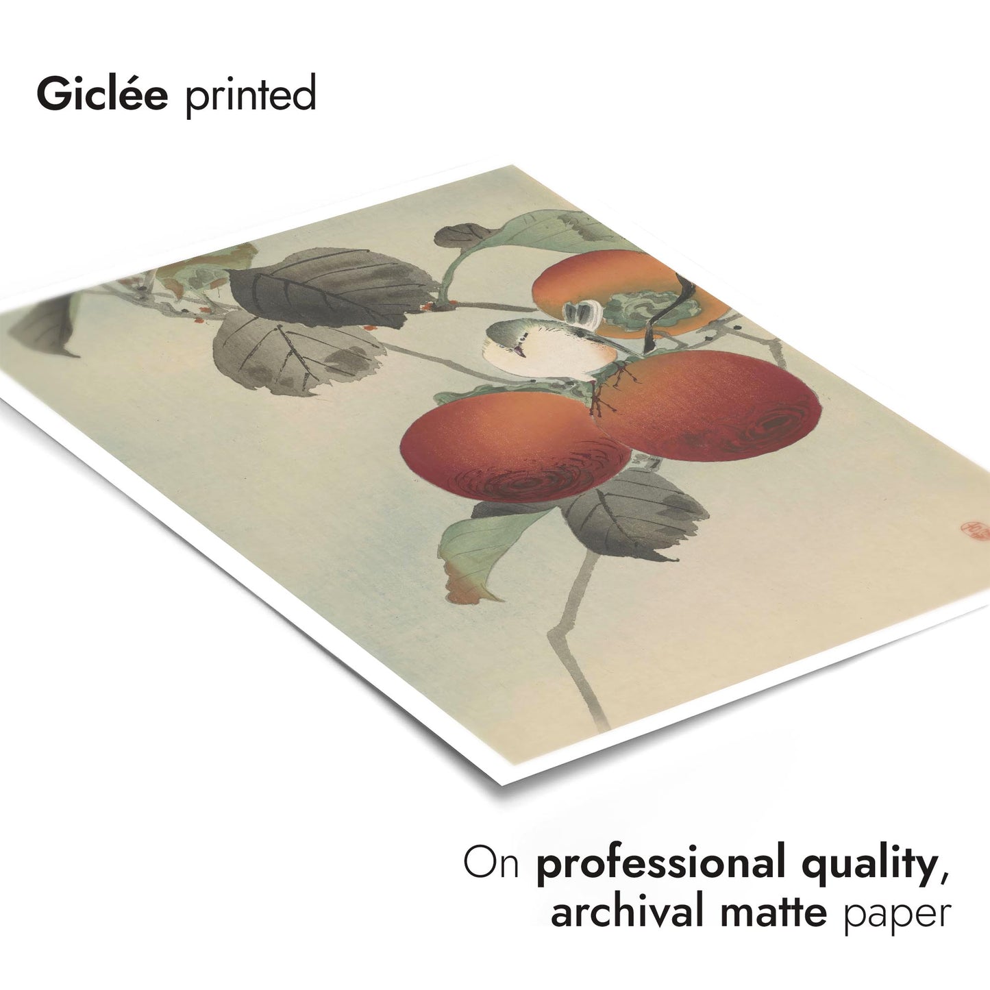 Nötkråka ovanpå persimonträdet