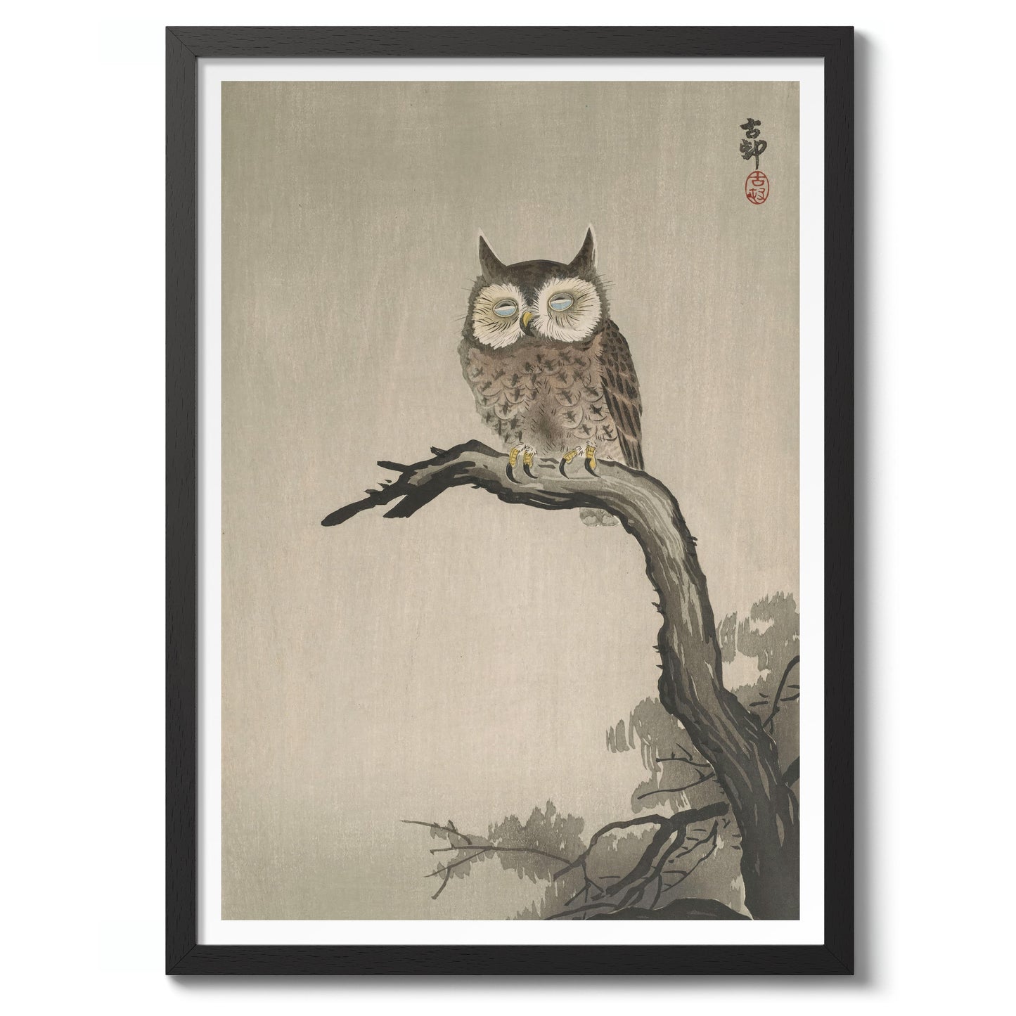 Owl on Tree
