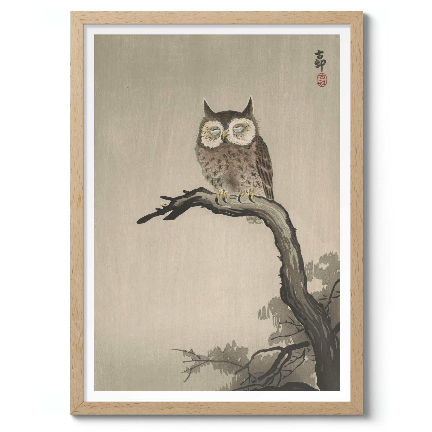 Owl on Tree