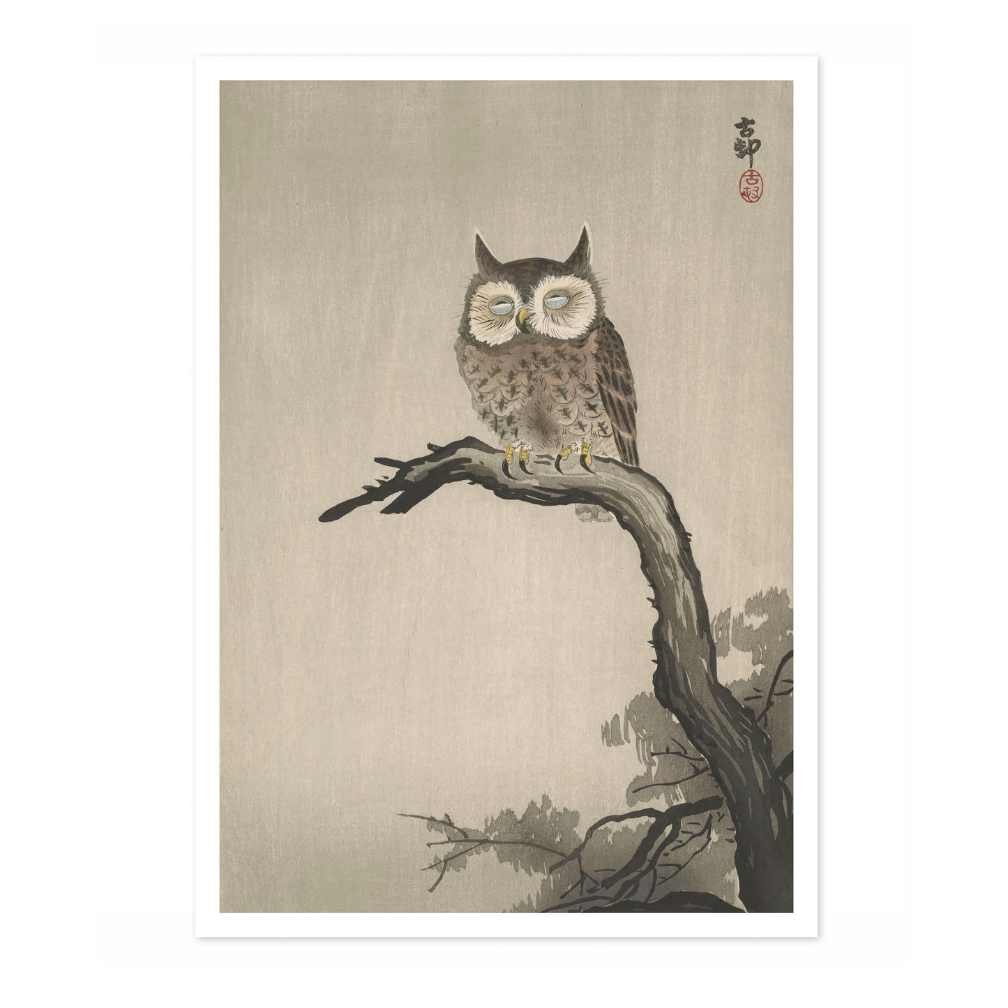 Owl on Tree