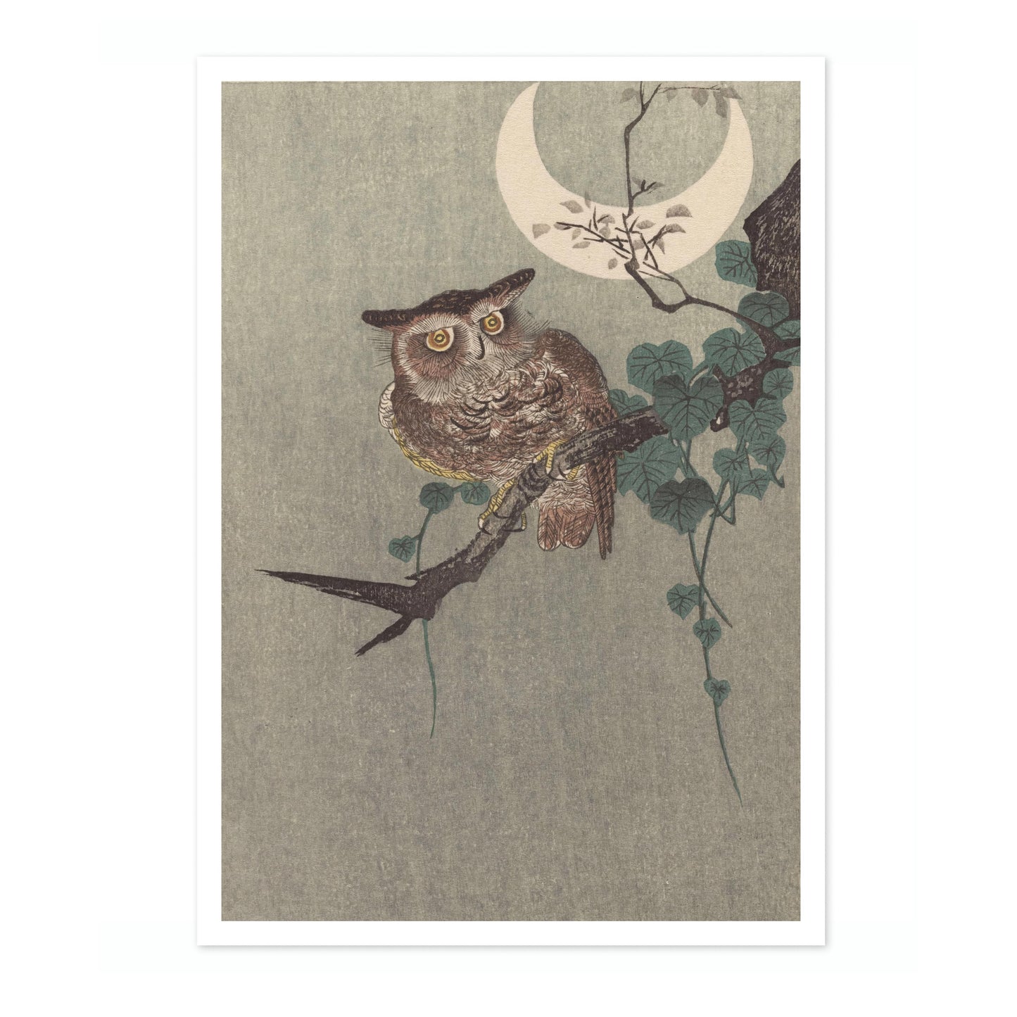 Owl Perched on a Branch & Crescent Moon
