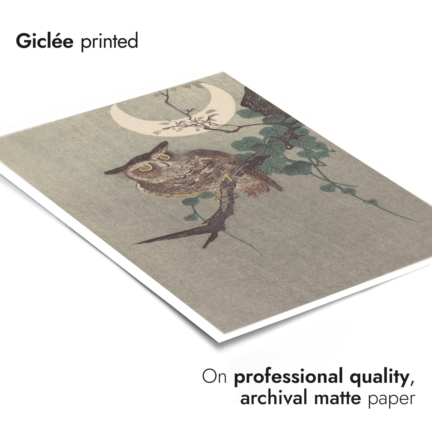 Owl Perched on a Branch & Crescent Moon