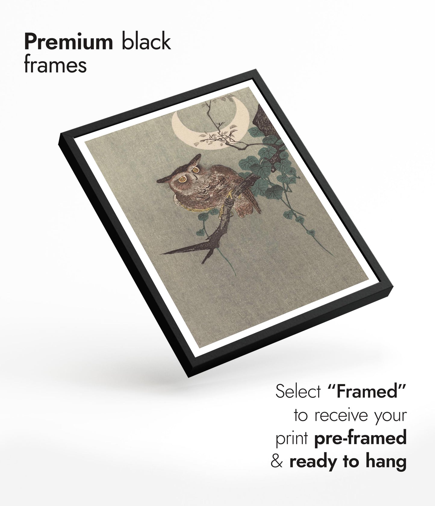 Owl Perched on a Branch & Crescent Moon