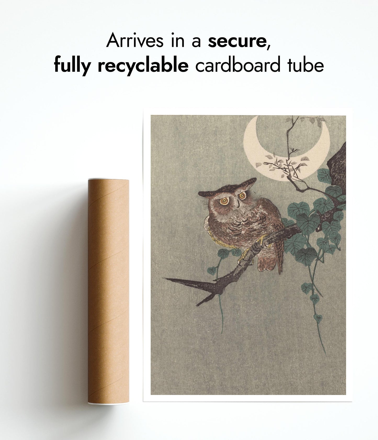 Owl Perched on a Branch & Crescent Moon