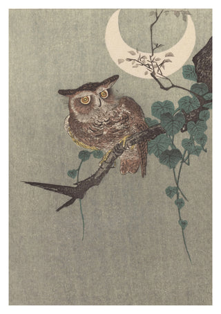Owl Perched on a Branch & Crescent Moon print