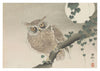 Owl Perched on a Tree Branch & Full Moon print