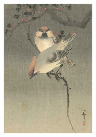 Waxwings print