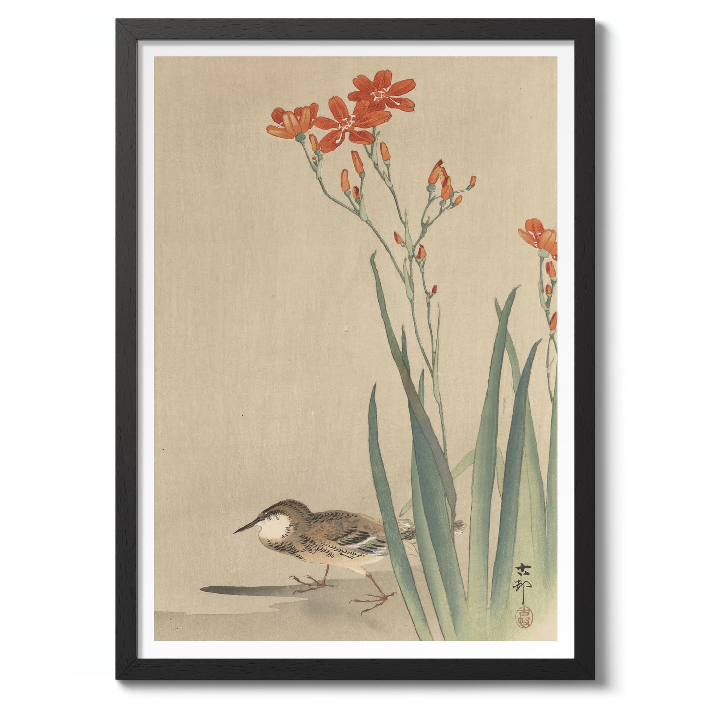 Pipit & Crocosmia Aurea