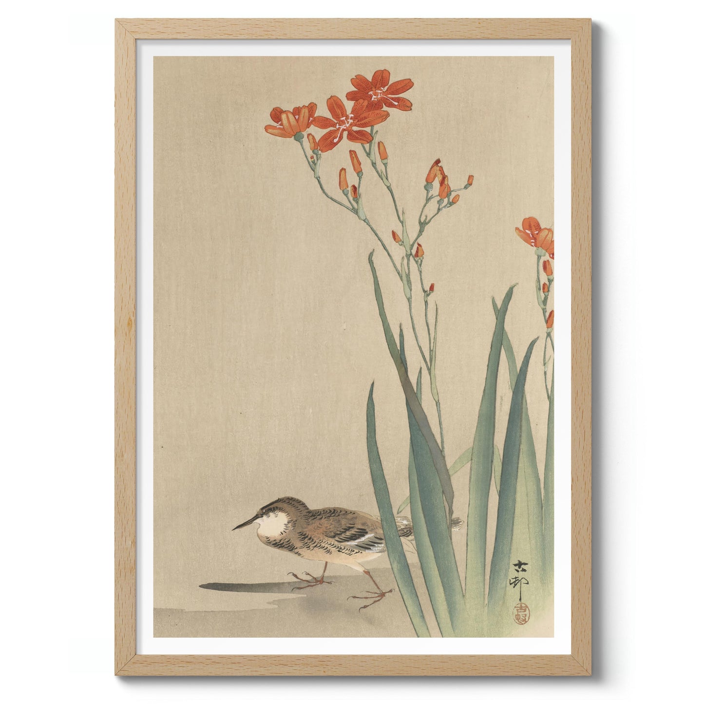 Pipit & Crocosmia Aurea