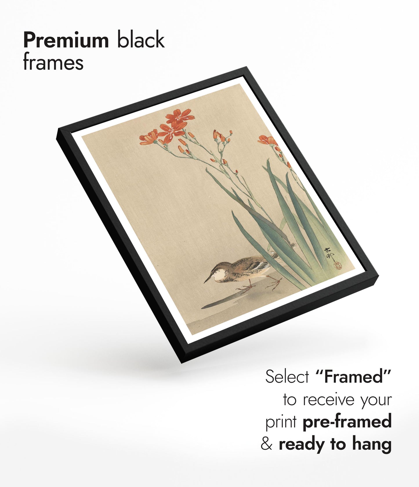 Pipit & Crocosmia Aurea