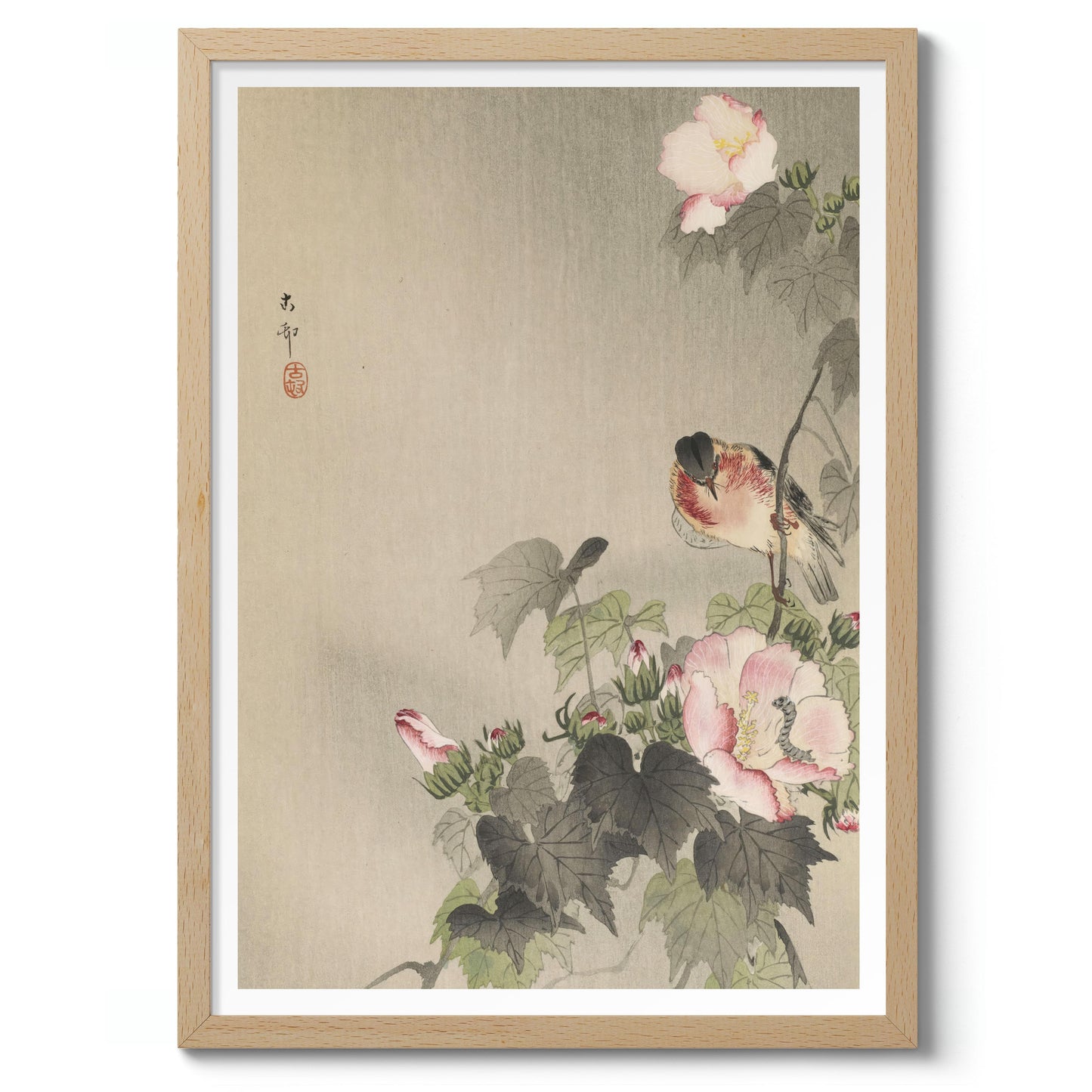 Sädesärla sittande på blommande gren