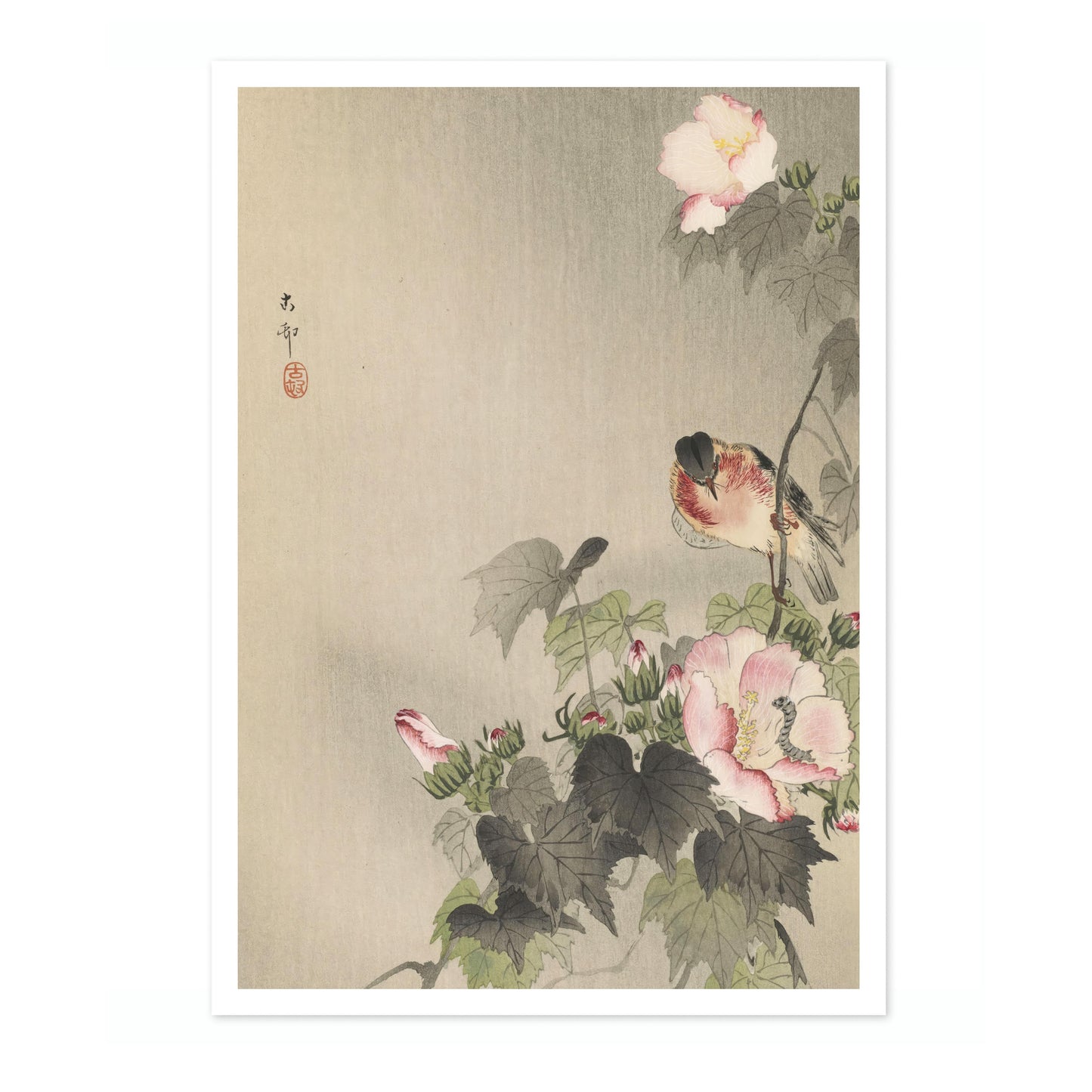 Sädesärla sittande på blommande gren