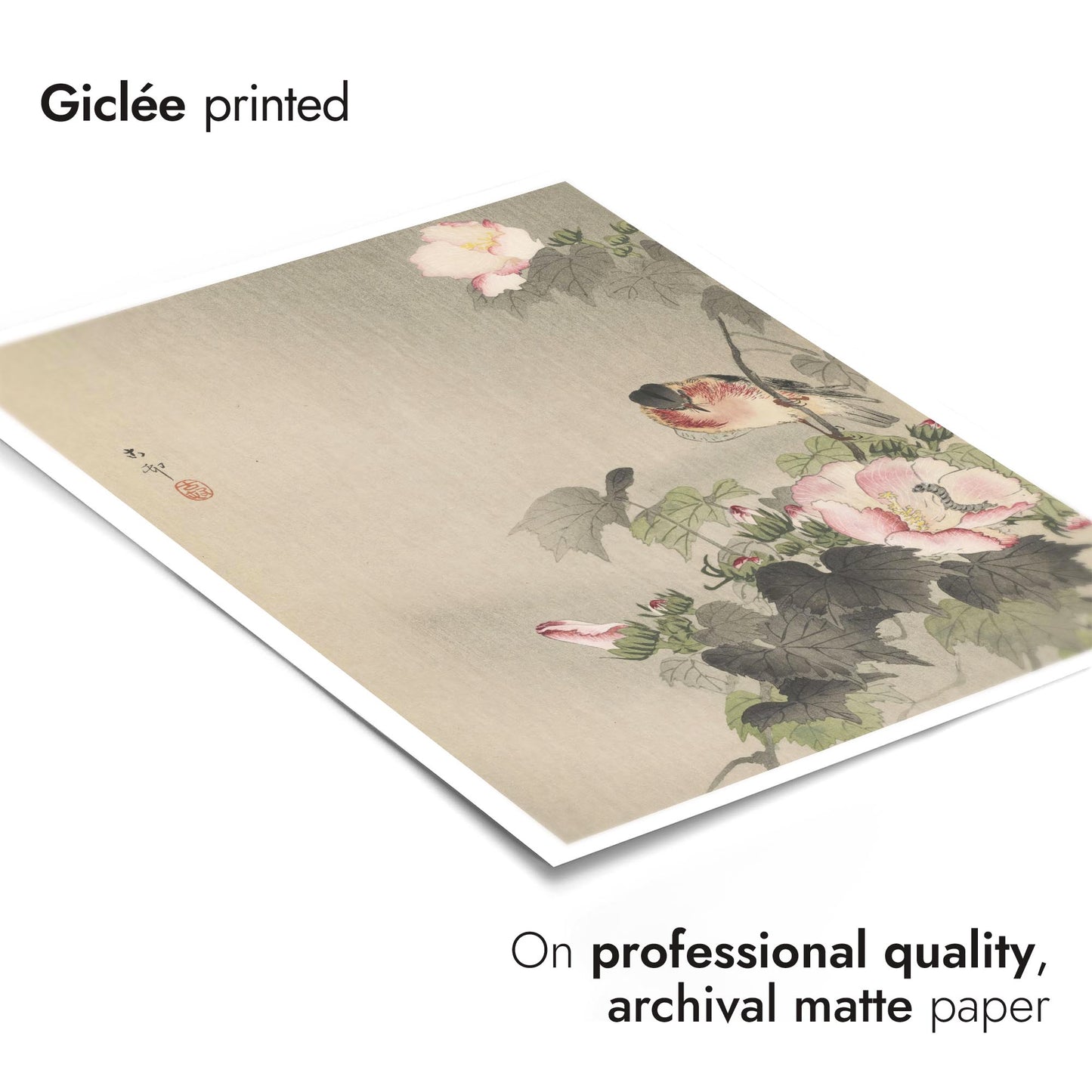 Sädesärla sittande på blommande gren