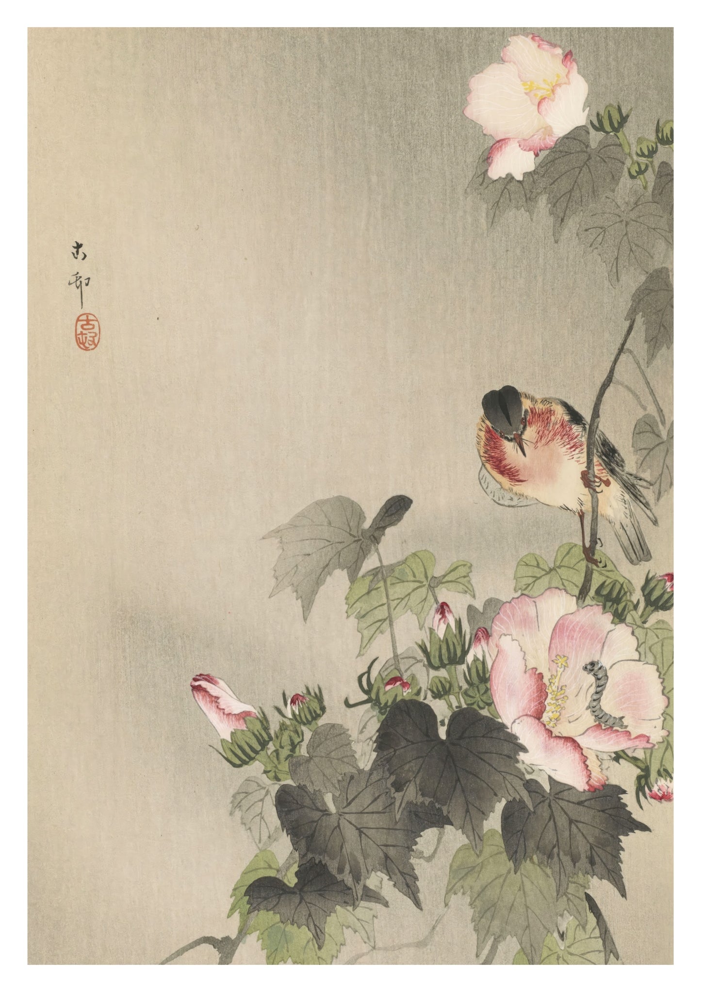 Sädesärla sittande på blommande gren