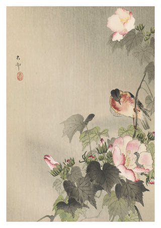 Sädesärla sittande på blommande gren print