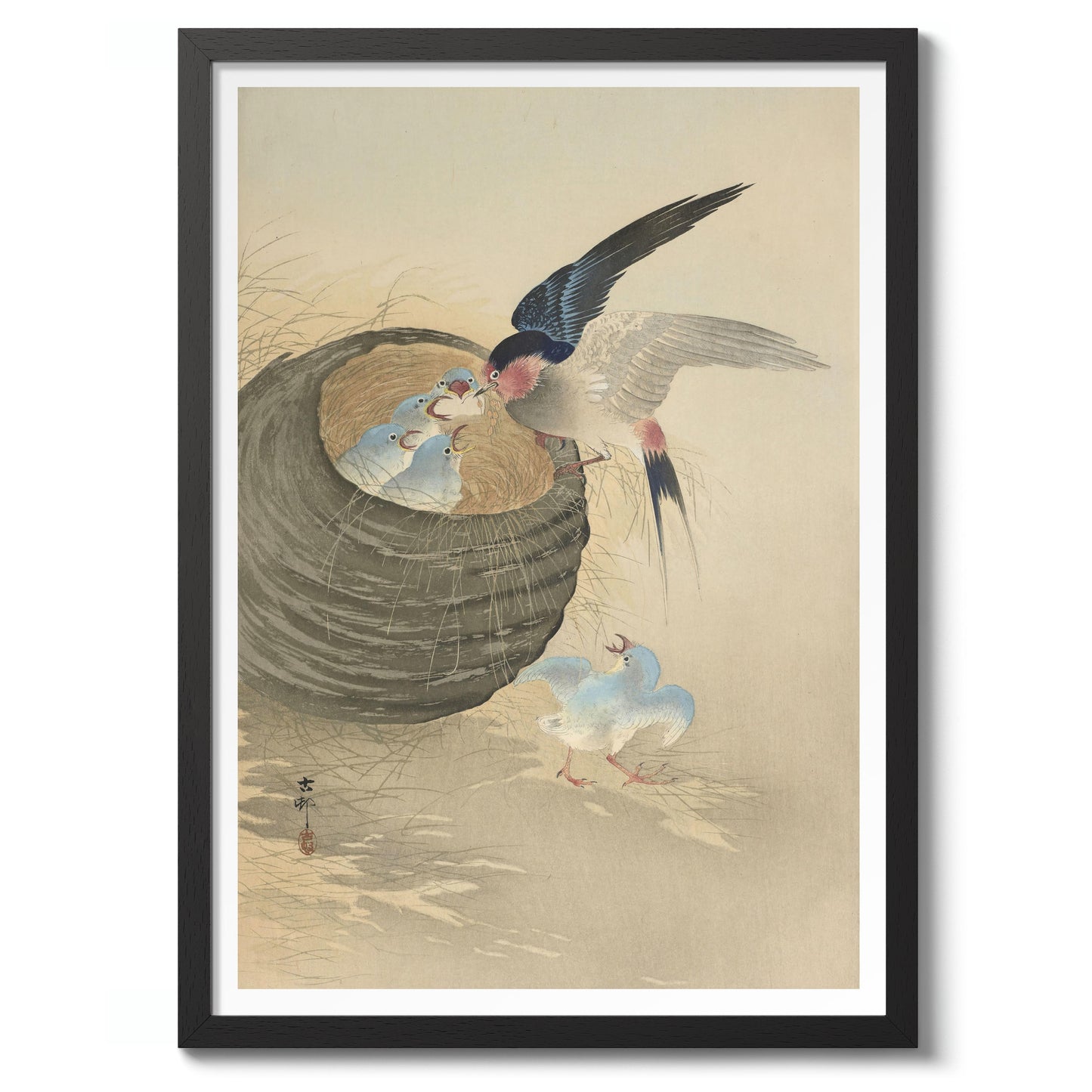 Swallow Feeding Babies in Nest