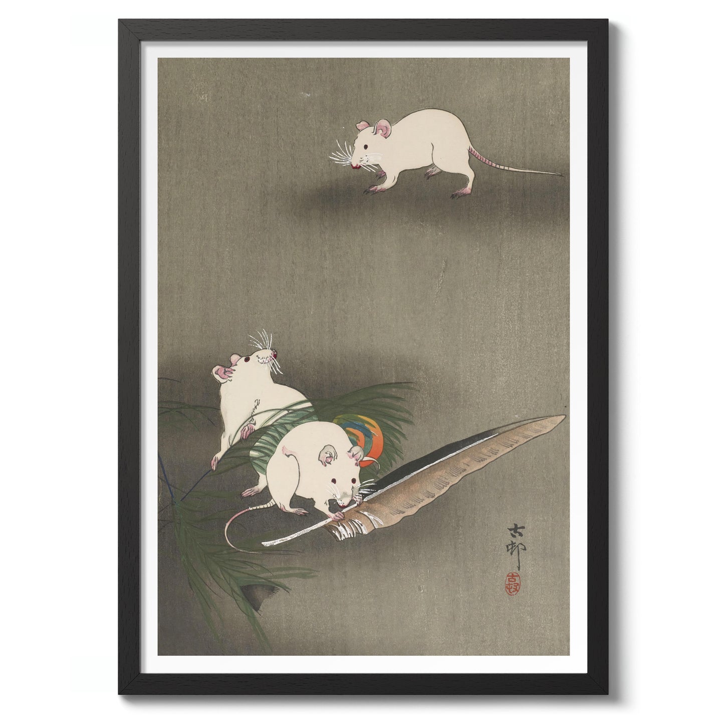 Trois souris blanches et une plume