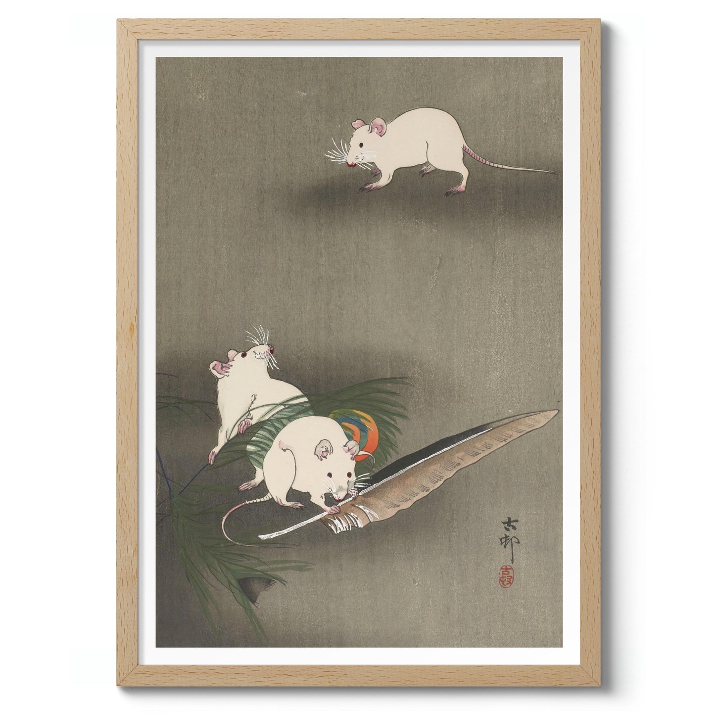 Trois souris blanches et une plume