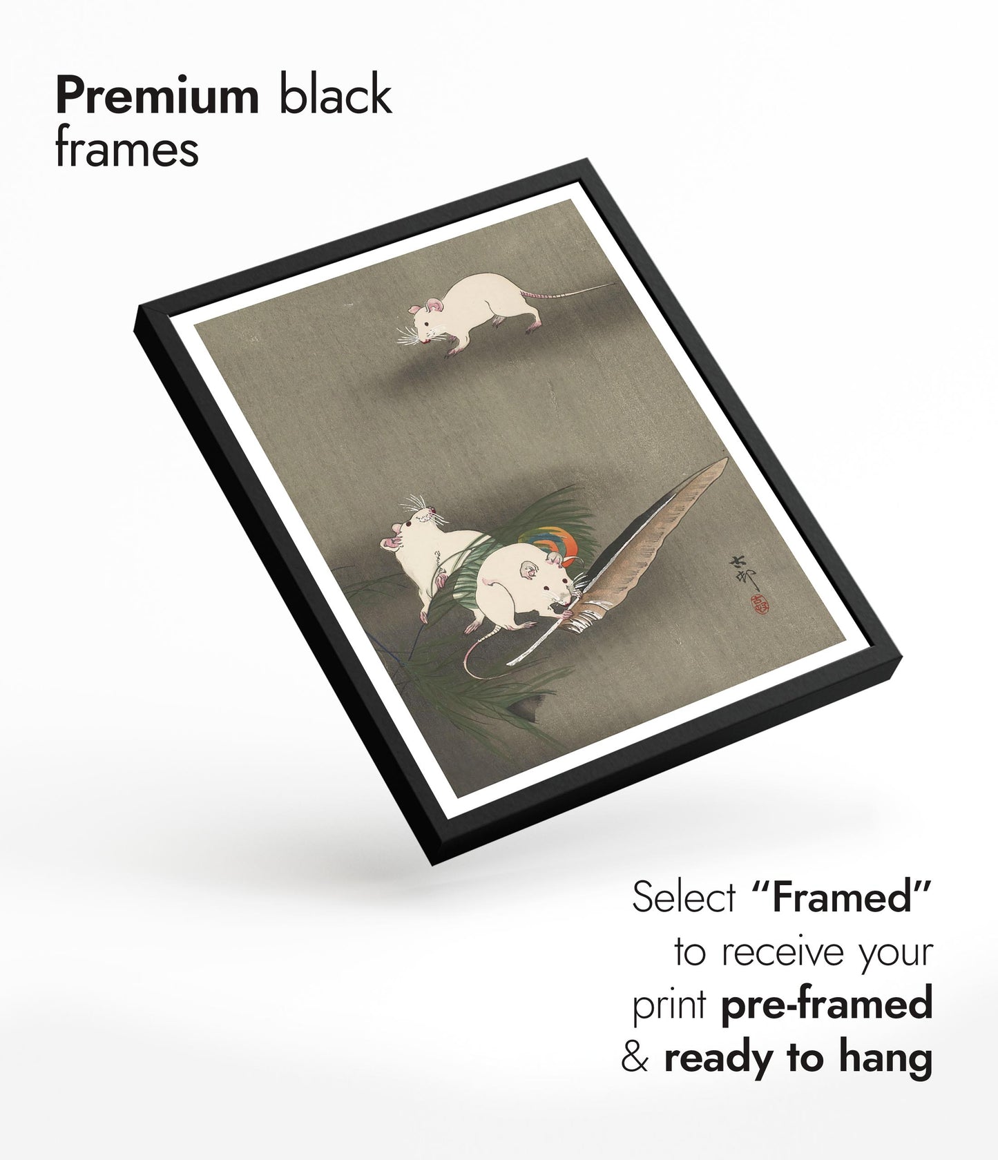 Trois souris blanches et une plume