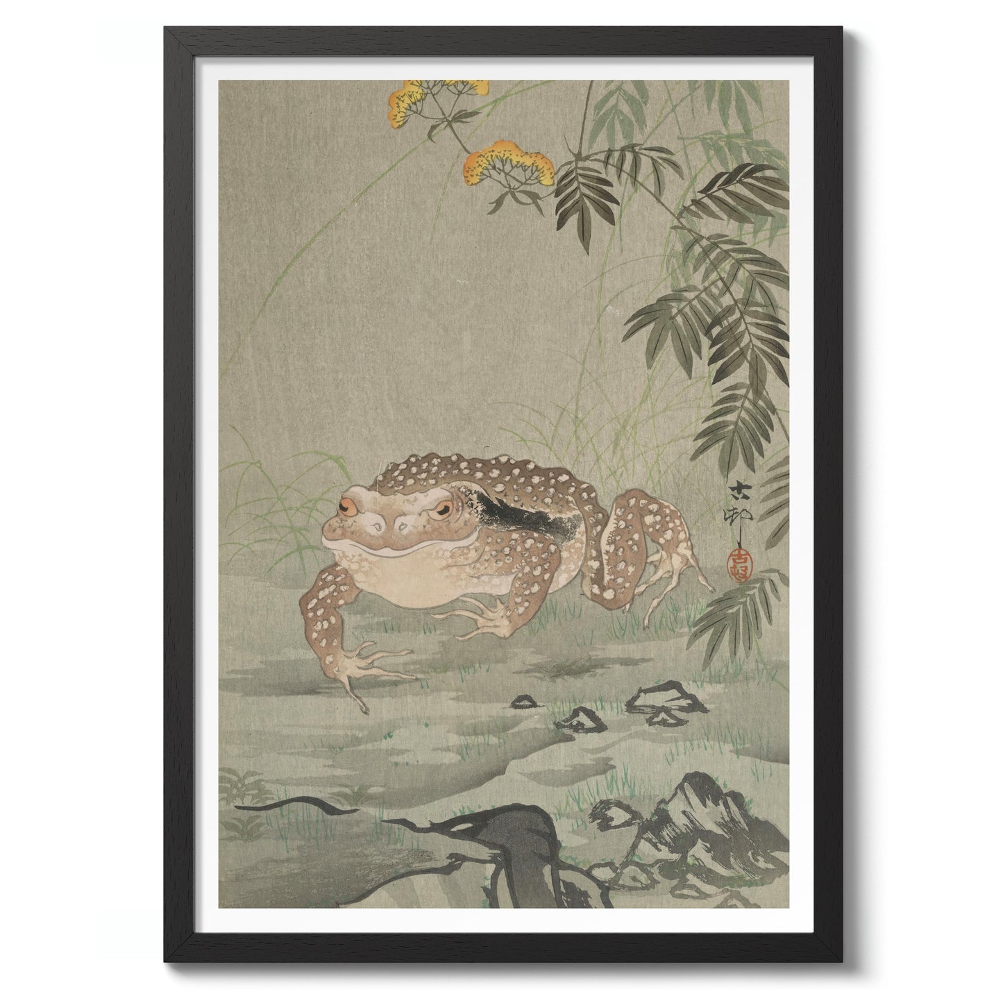 Crapaud à côté d'une plante fleurie