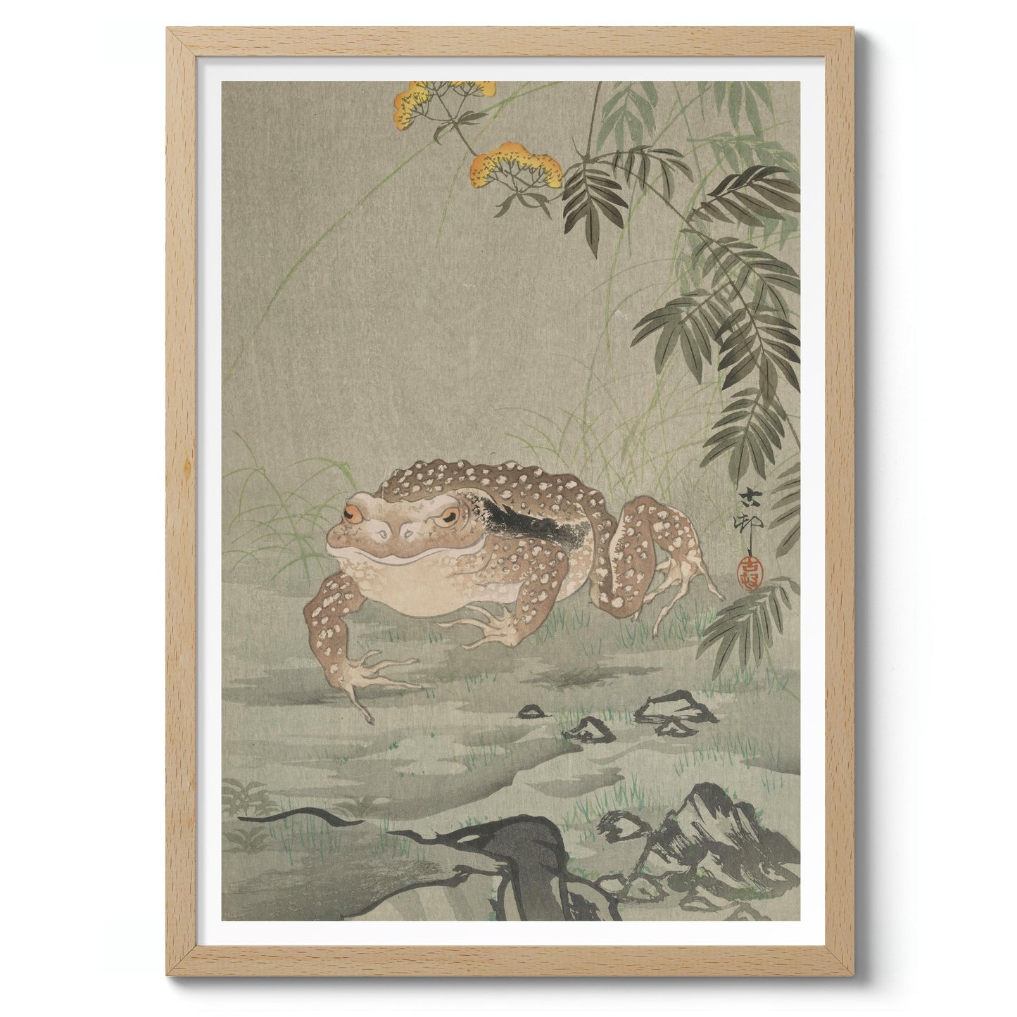 Crapaud à côté d'une plante fleurie