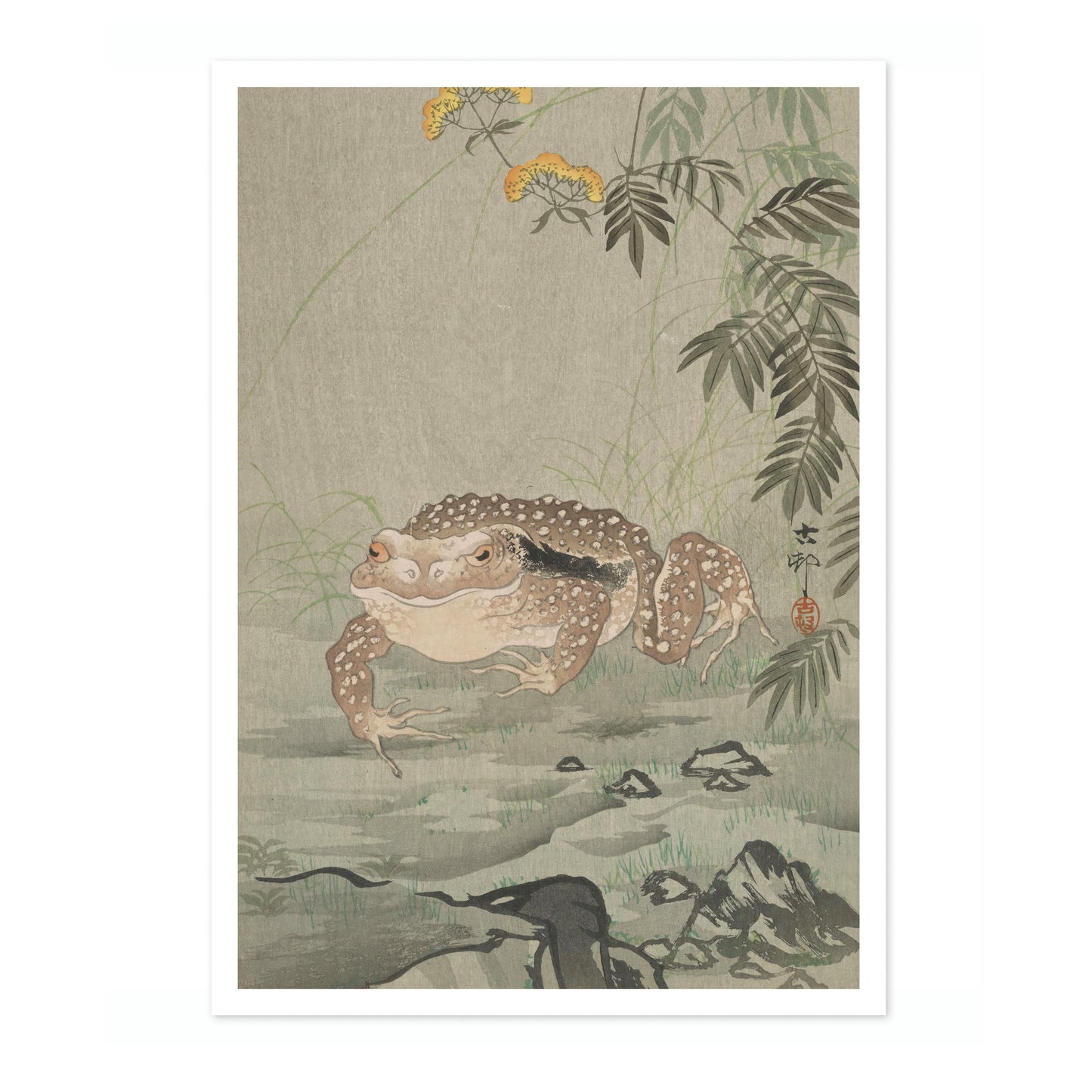 Crapaud à côté d'une plante fleurie