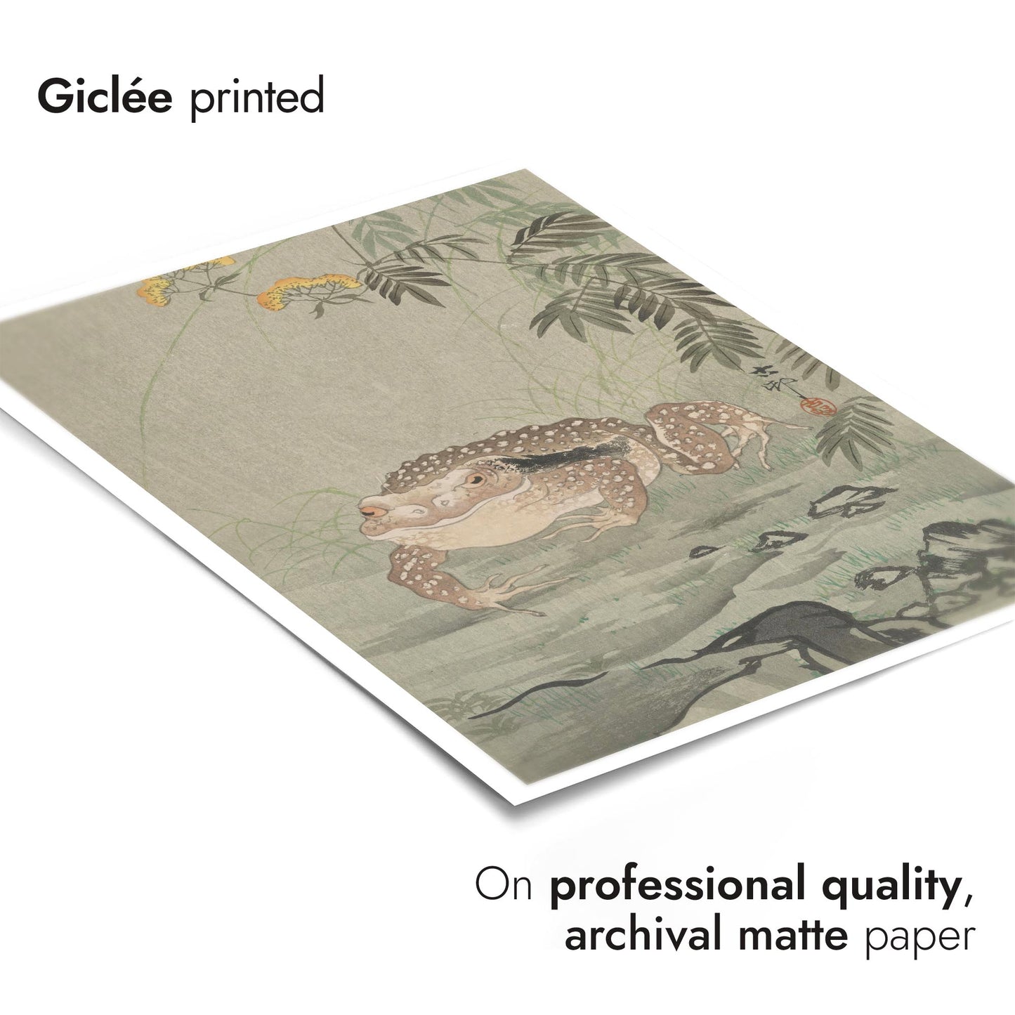 Crapaud à côté d'une plante fleurie