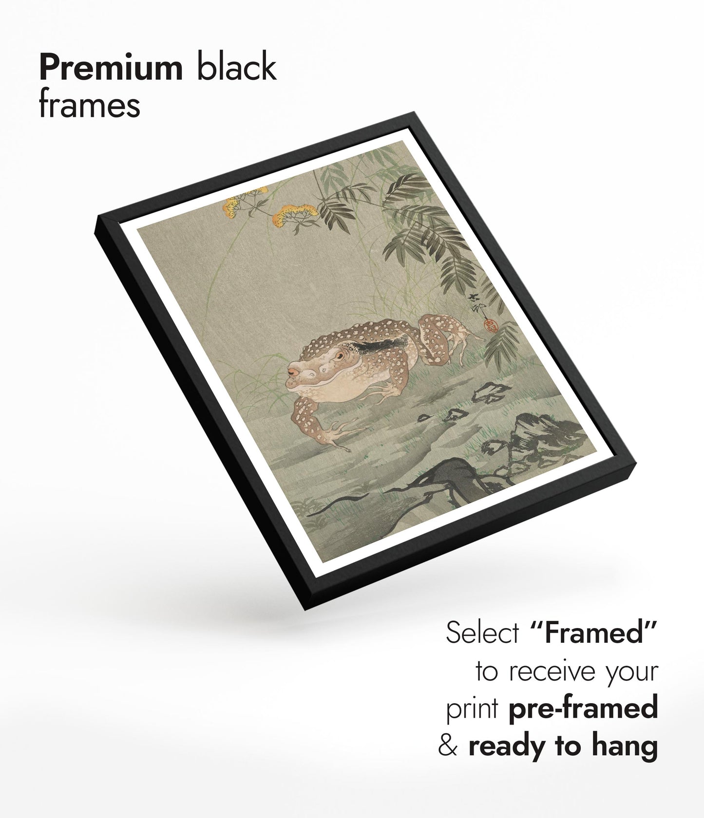 Crapaud à côté d'une plante fleurie