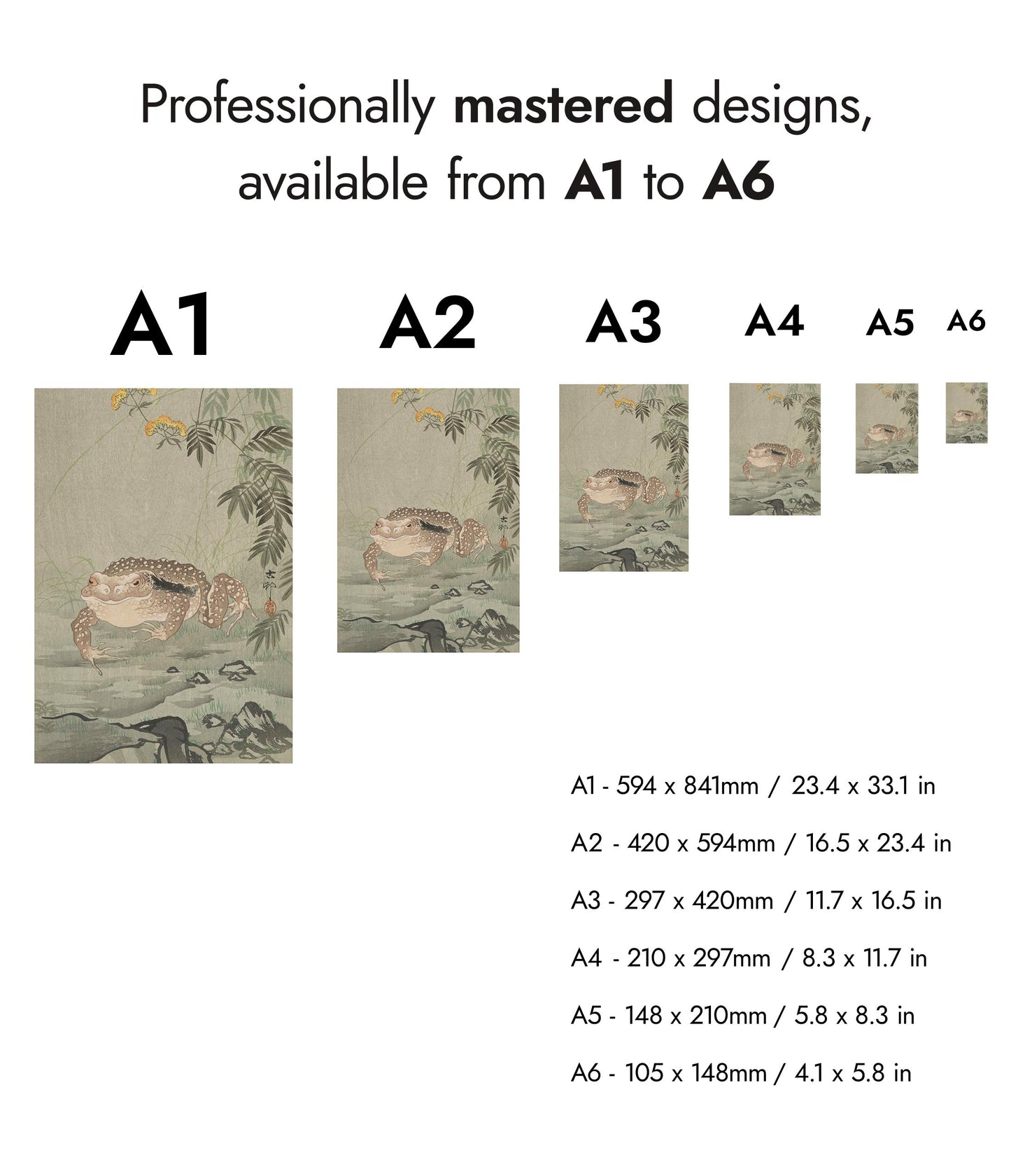 Crapaud à côté d'une plante fleurie